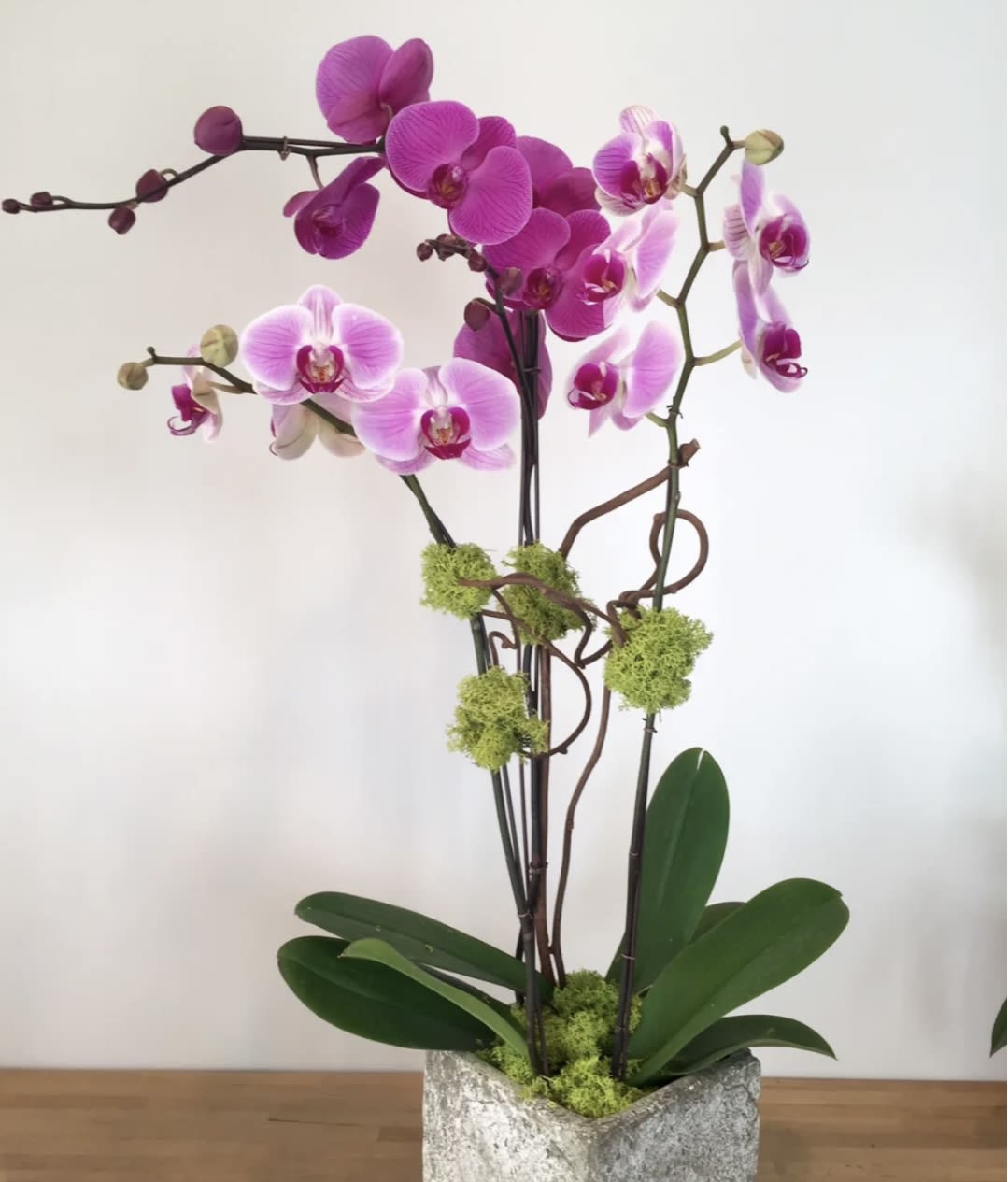 Pink and purple orchids in a textured pot with moss accents