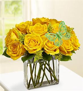 Modern Roses One Dozen Yellow - Product ID: 91184  Surprise her (or any Mom you know) with this contemporary spin on the traditional dozen roses. Stunning yellow roses, gathered by our florists in a chic rectangular glass vase and accented with a fashionable butterfly pick. Floral may vary due to local availability. Vase measures 6"H. Arrangement approx. 9"H x 11"W. Also available in pink, red and assorted