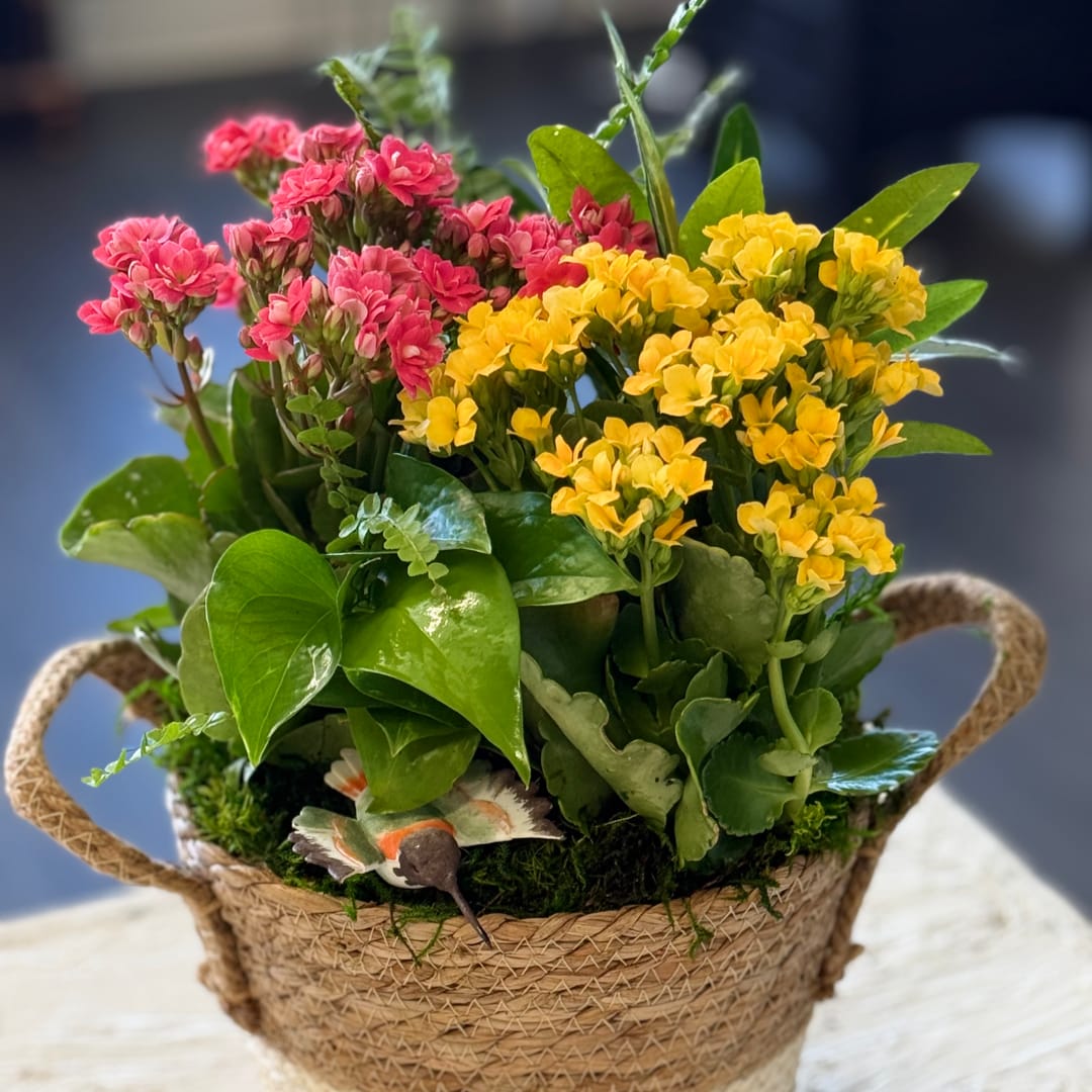 Basket arrangement of pink and yellow flowers with glossy green foliage