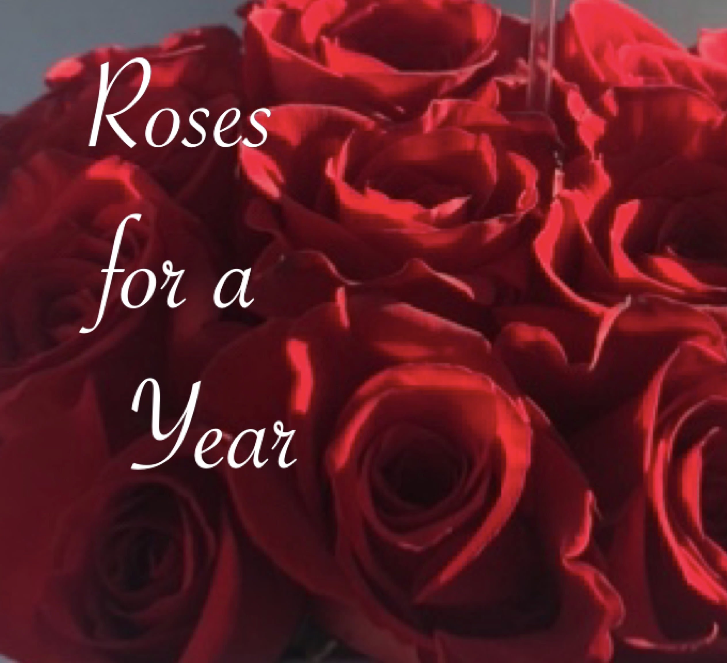 Close-up of red roses with the words "Roses for a Year" overlaid