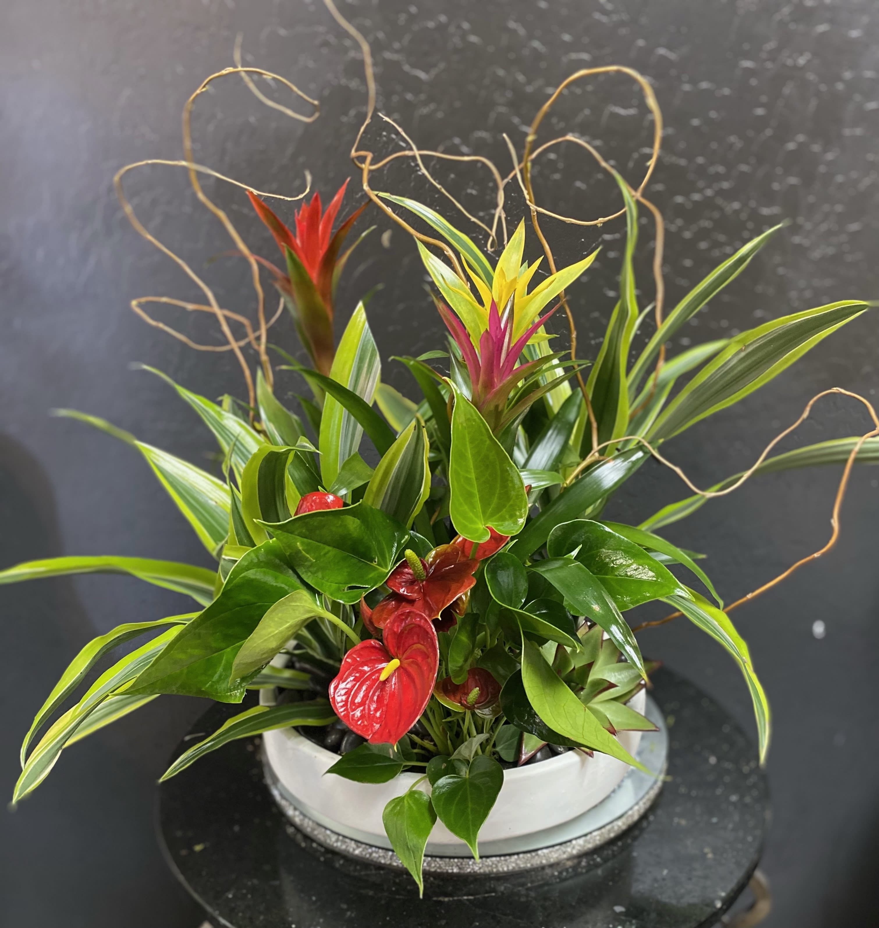 Tropical plant arrangement with red and pink blooms in a white container
