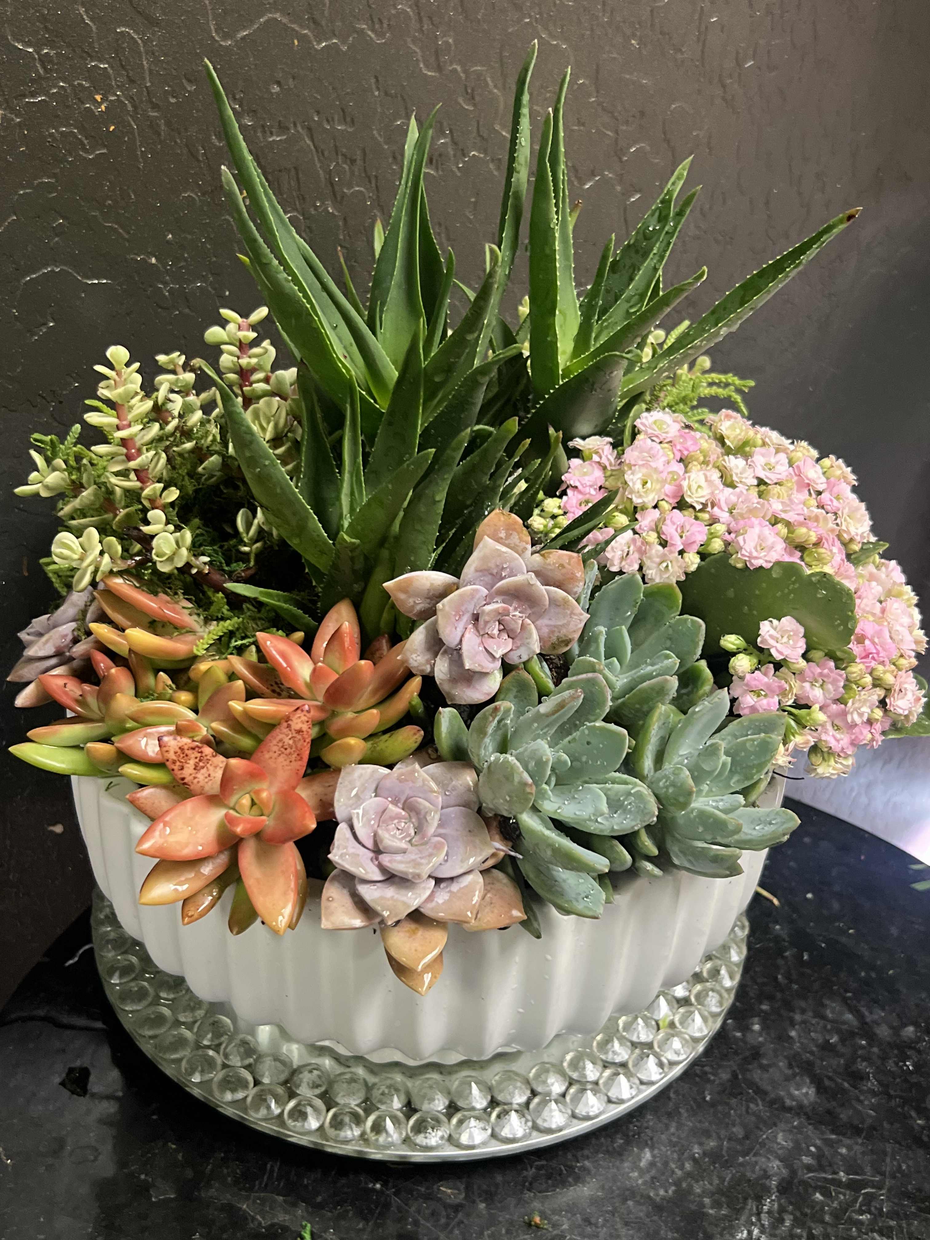 Succulent arrangement in a white ribbed planter with pink blooms