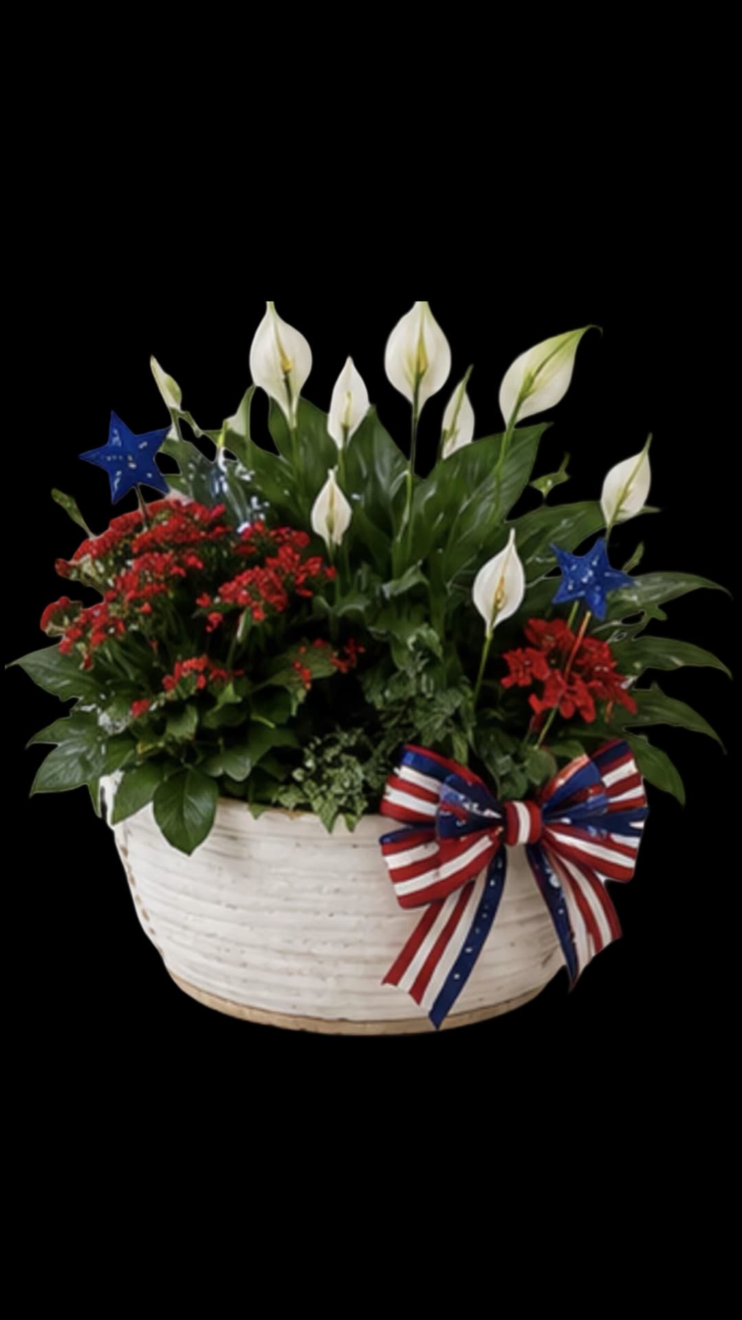 Patriotic Plant Garden  - Tall white peace lilies rise above a lush bed of glossy green foliage in this patriotic plant garden-an uplifting choice for Memorial Day, Fourth of July, Veterans Day, or any occasion when you want to honor someone with a respectful, festive touch. The arrangement reads both ceremonial and celebratory, making it a fitting sympathy tribute for a formal service or a proud centerpiece for a backyard gathering.  Set in a low white woven basket, the composition pairs the lilies with clusters of small red blooms and rich green leaves for layered texture and lasting presence. A red, white, and blue ribbon bow plus blue star picks complete the Americana look, offering visual contrast and seasonal charm. The plants arrive arranged and ready to display; light, regular watering and bright, indirect light will keep the peace lilies and companion plants healthy so the recipient feels truly seen and remembered.