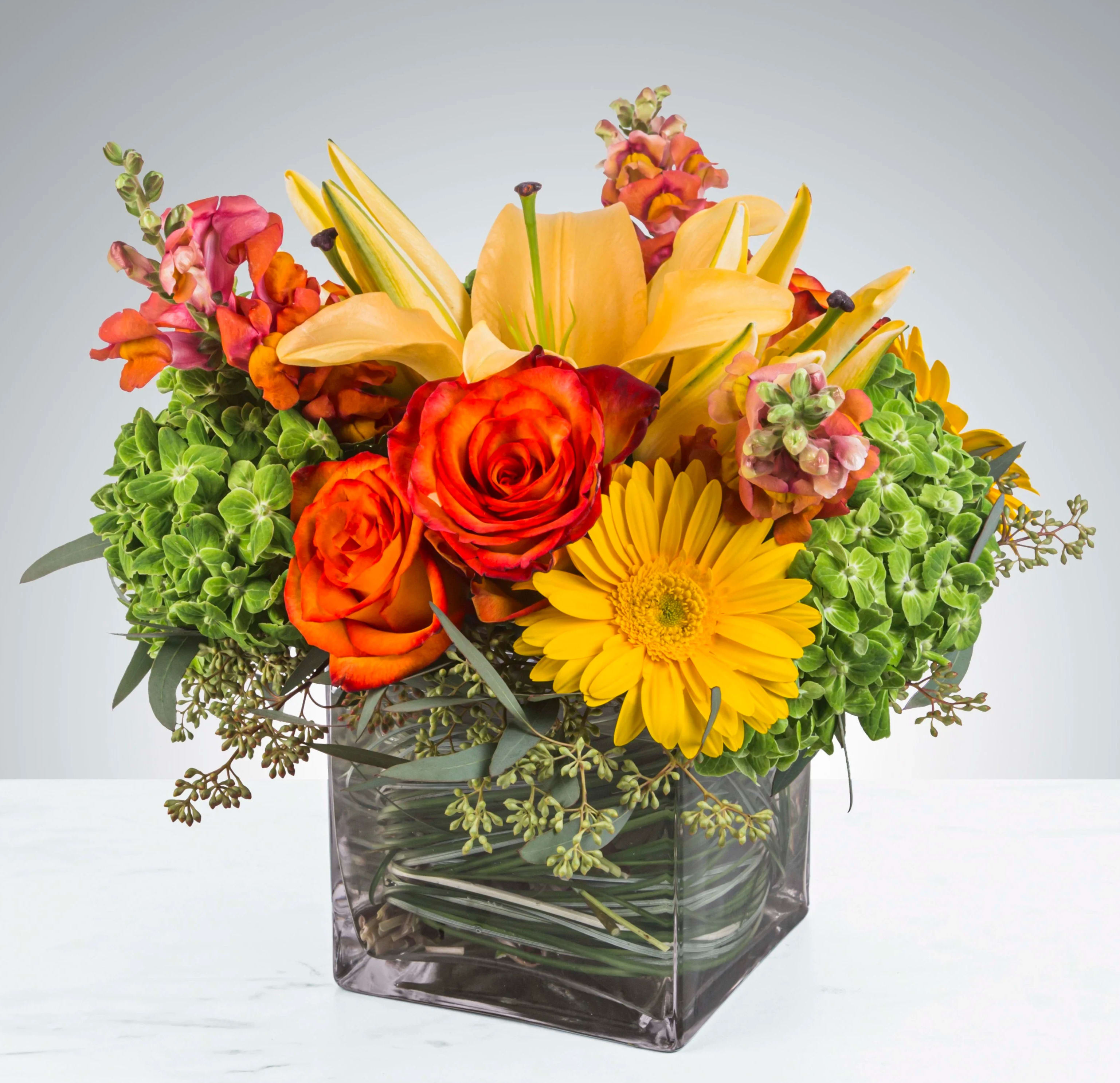 Orange roses and yellow lilies in a square glass vase with green hydrangeas