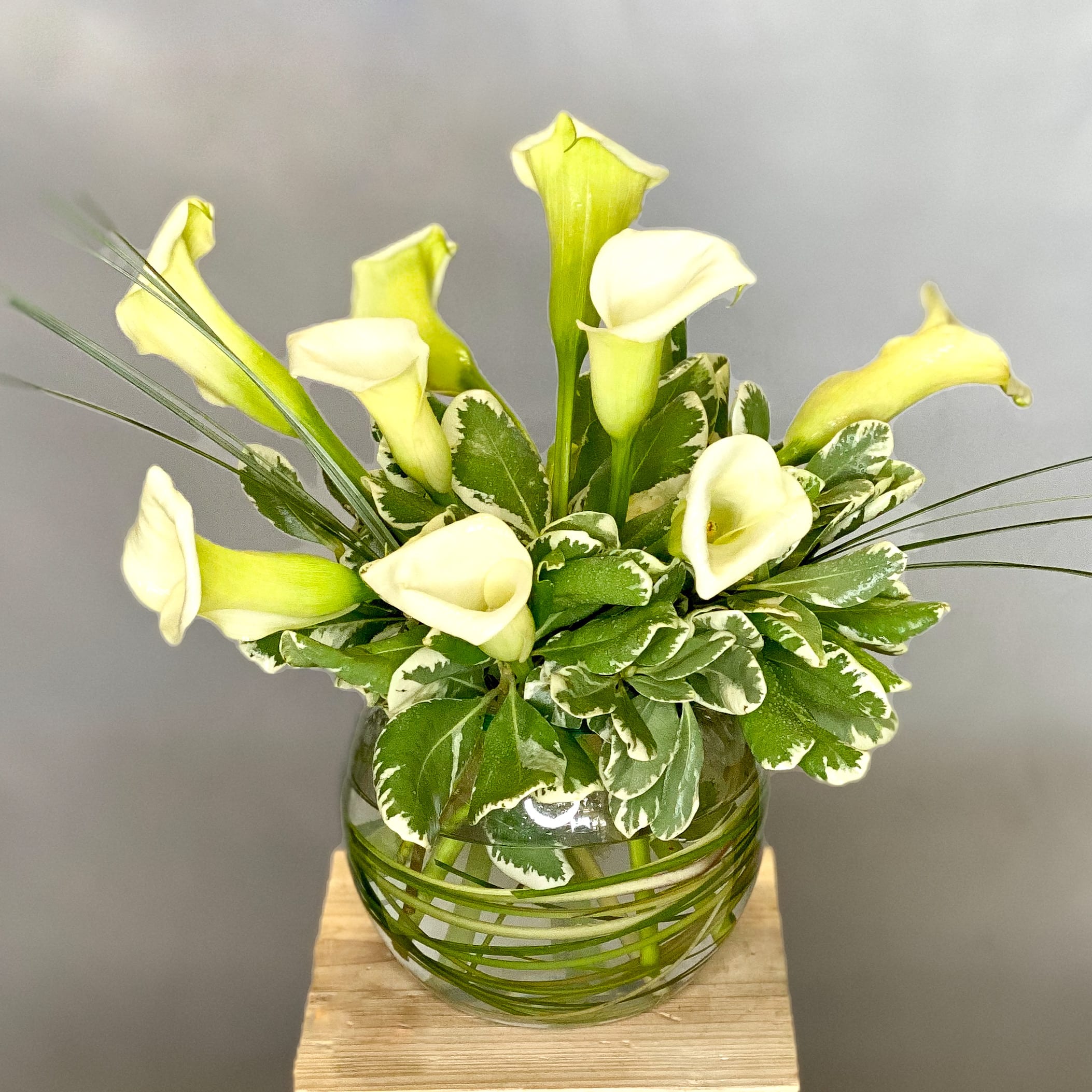White calla lilies in a round glass vase with variegated green foliage