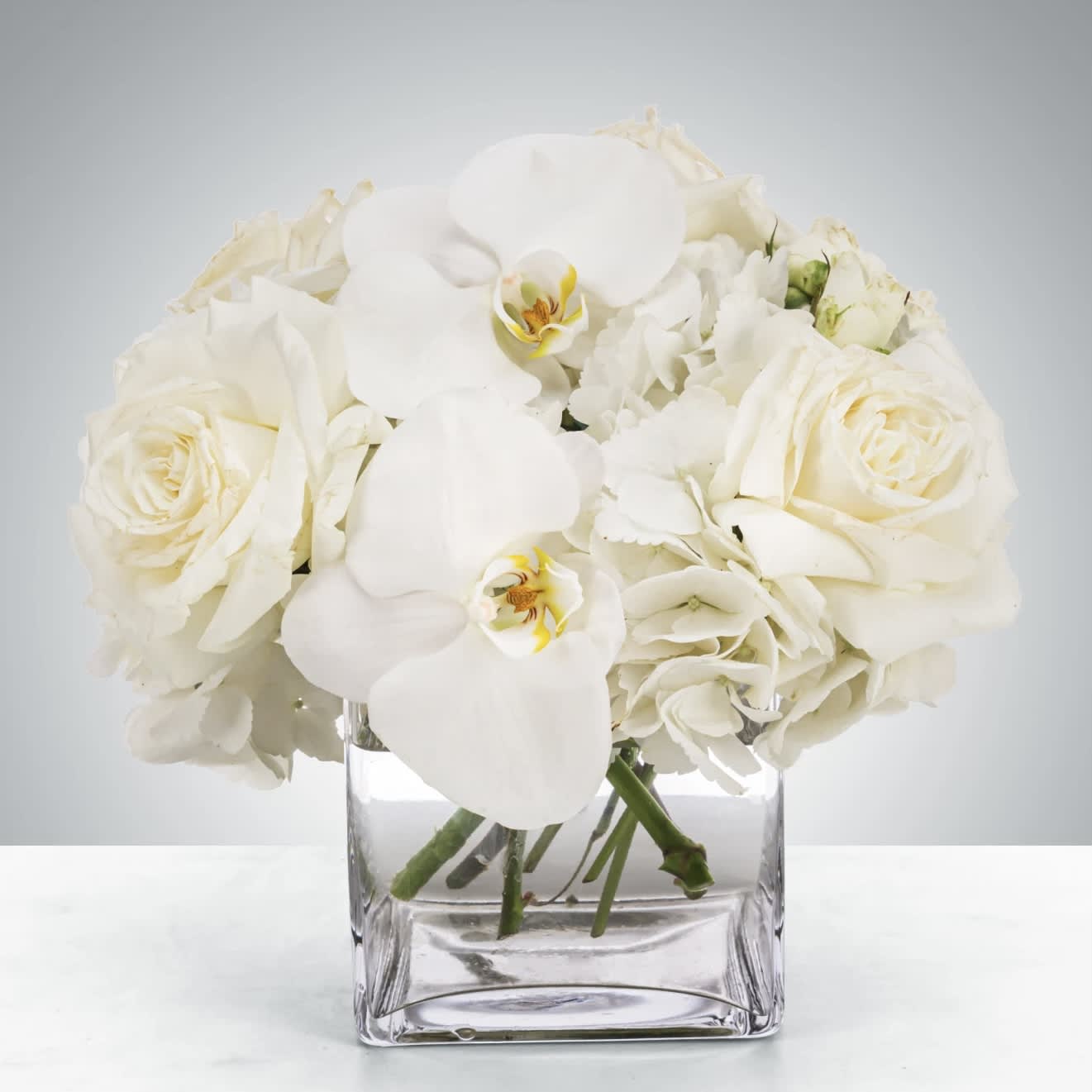 Linen  - This petite all-white arrangement featuring hydrangea and orchids is the perfect all-occasion gift. Send it for any holiday, event, or circumstance.  Approximately 9" D