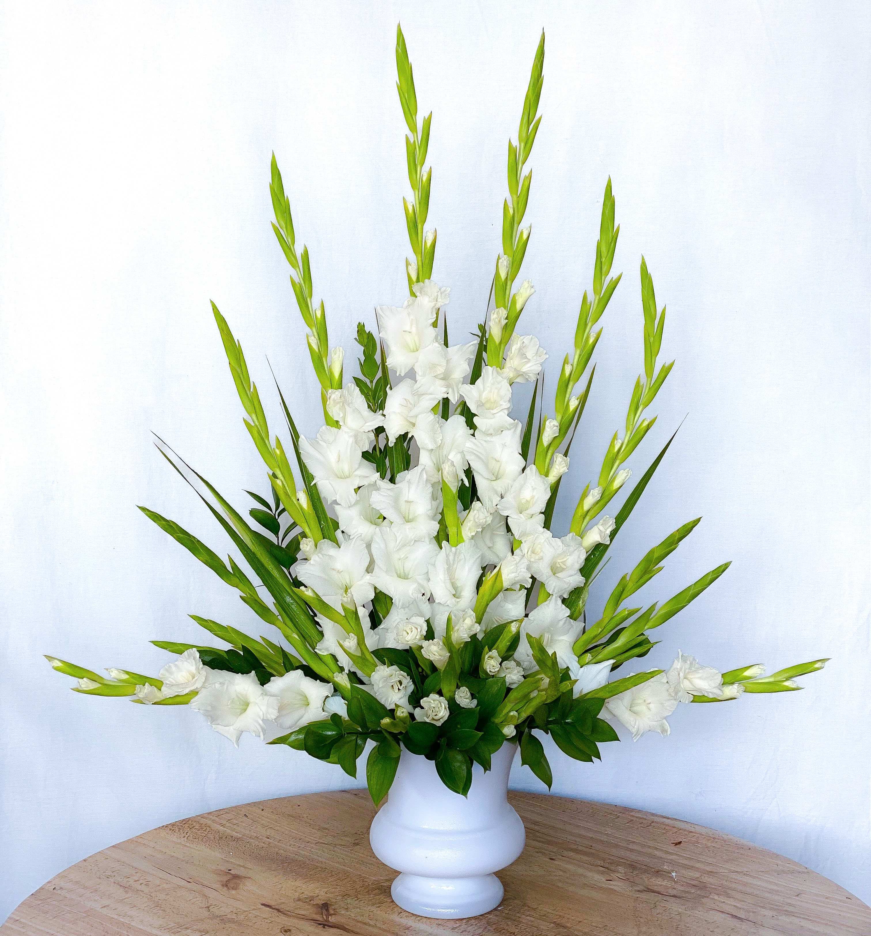 Radiant White Gladiolus  - An all white classic arrangement of gladiolus designed tall and elegant to commemorate the passing of a loved one. Send your sincere sympathies with this traditional bouquet and express your outmost thoughtfulness and prayers to the departing families.  Approximately 32" H x 22" W  
