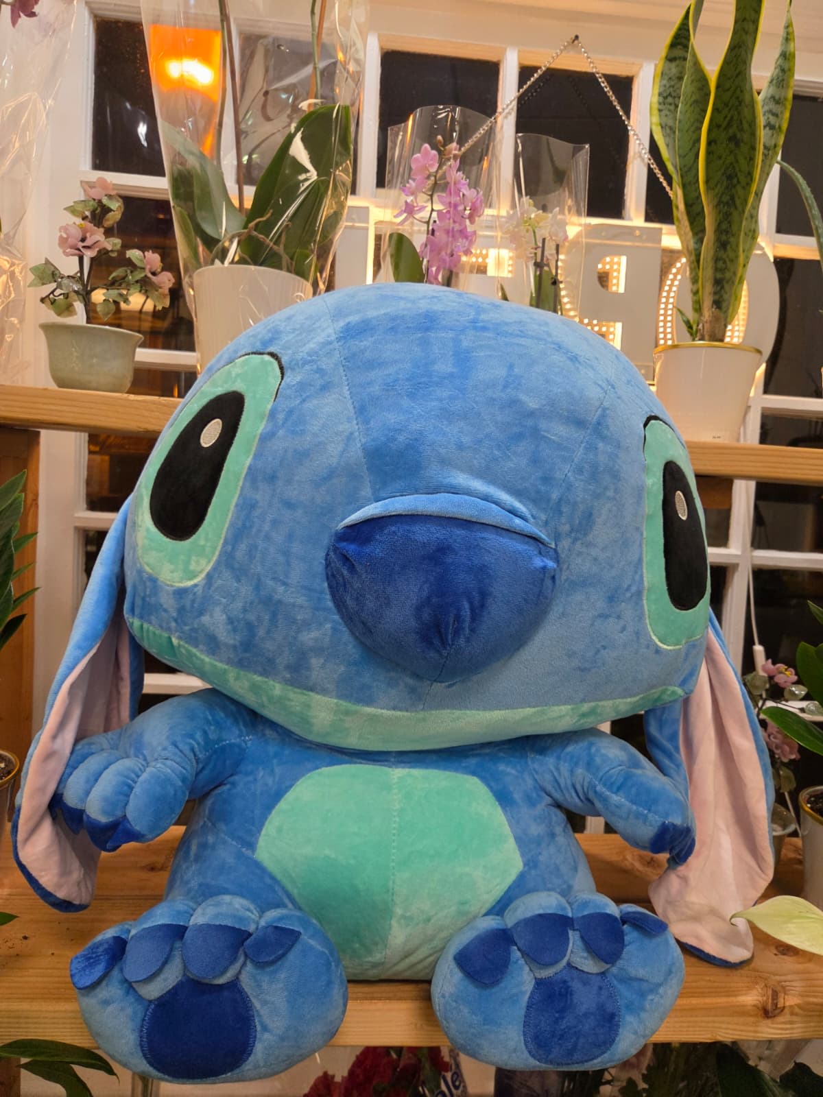 Large blue plush Stitch toy sitting in a flower shop display