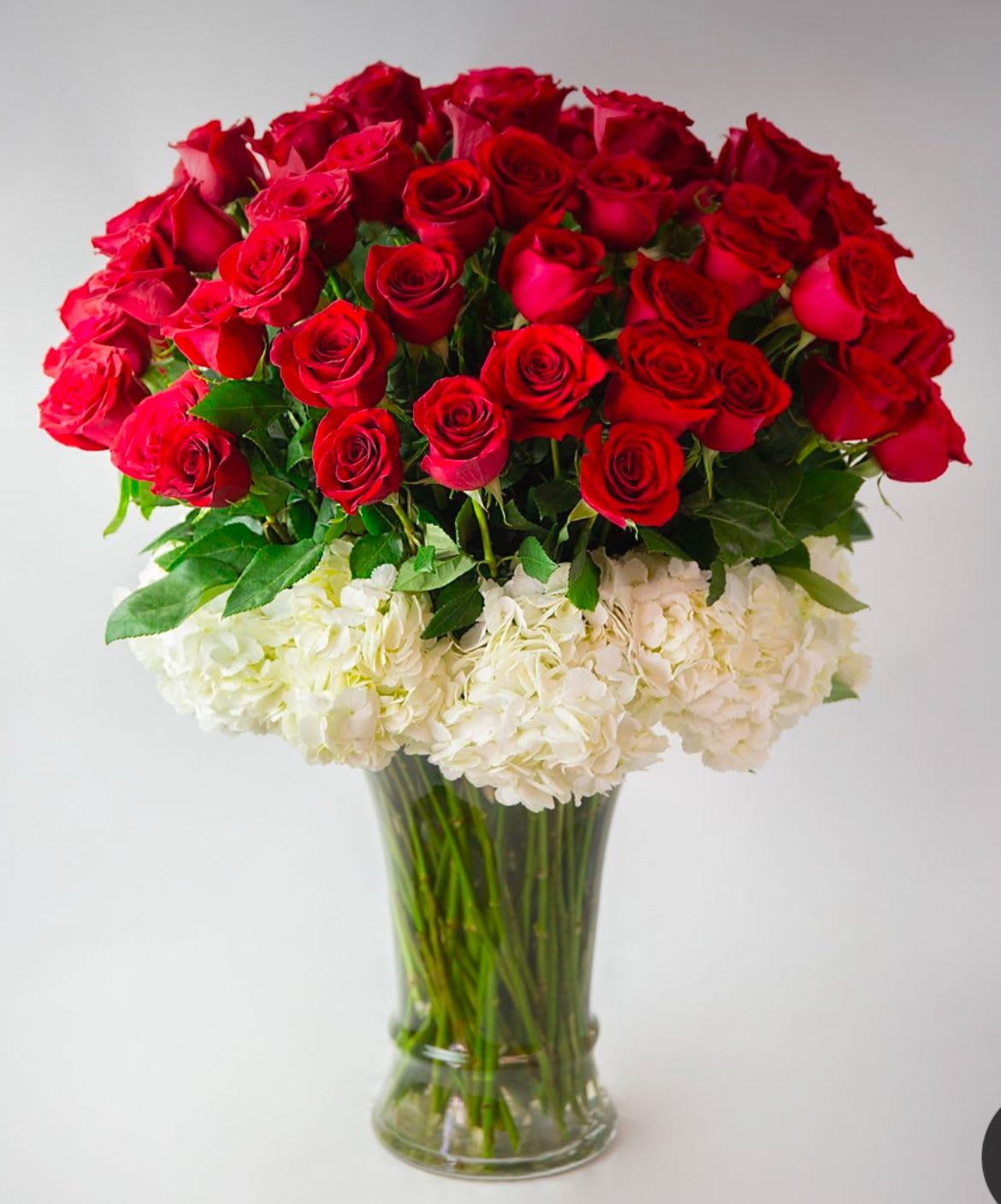 Red roses arranged above white hydrangeas in a clear glass vase