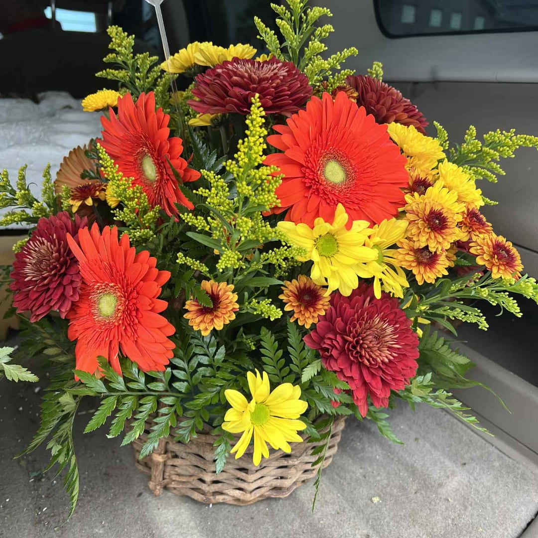 Basket arrangement with red gerbera daisies and yellow chrysanthemums
