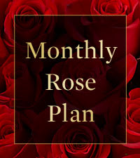 Red roses with the words Monthly Rose Plan overlaid