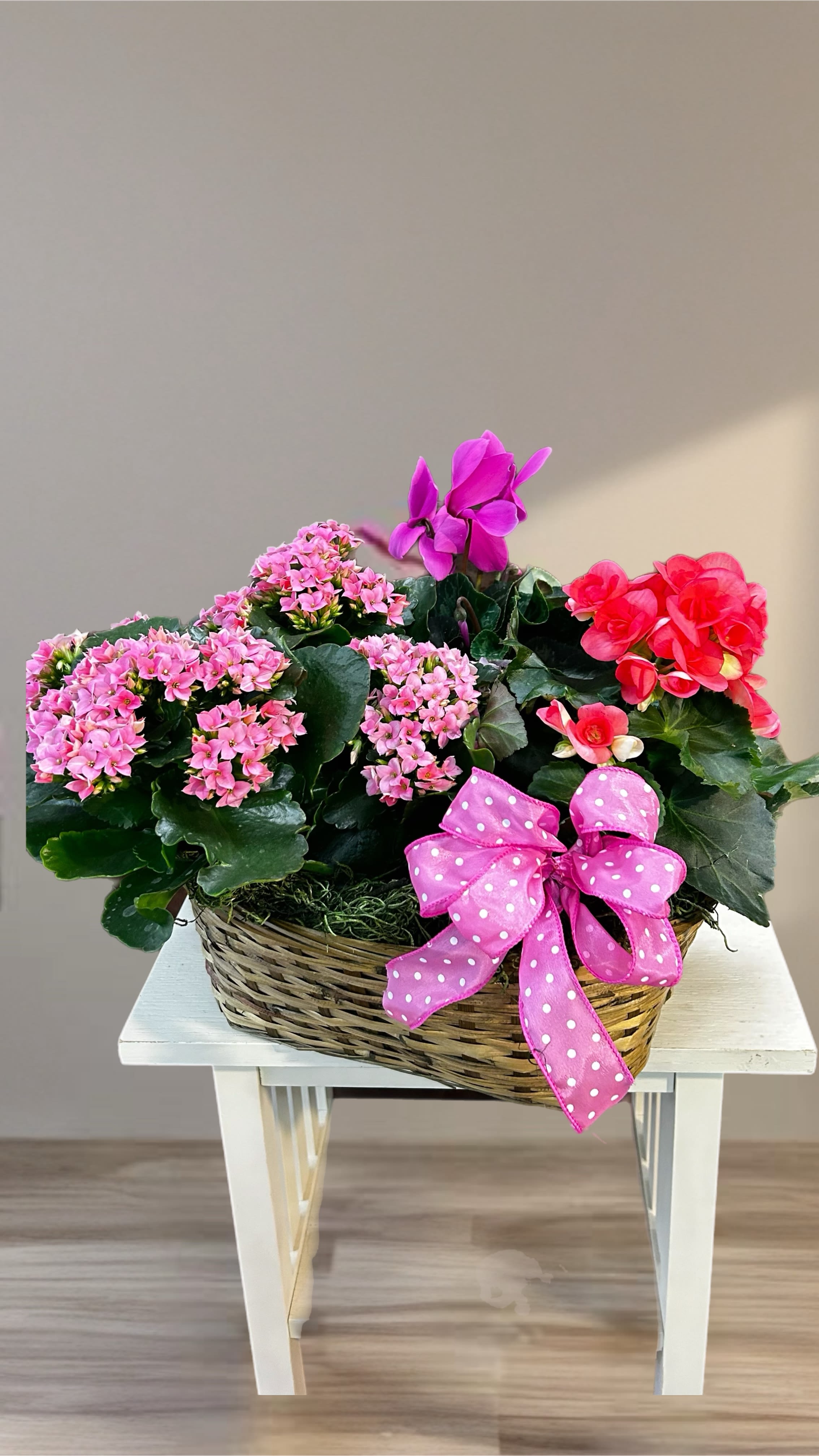 Pink flowering plants in a wicker basket with a polka-dot ribbon