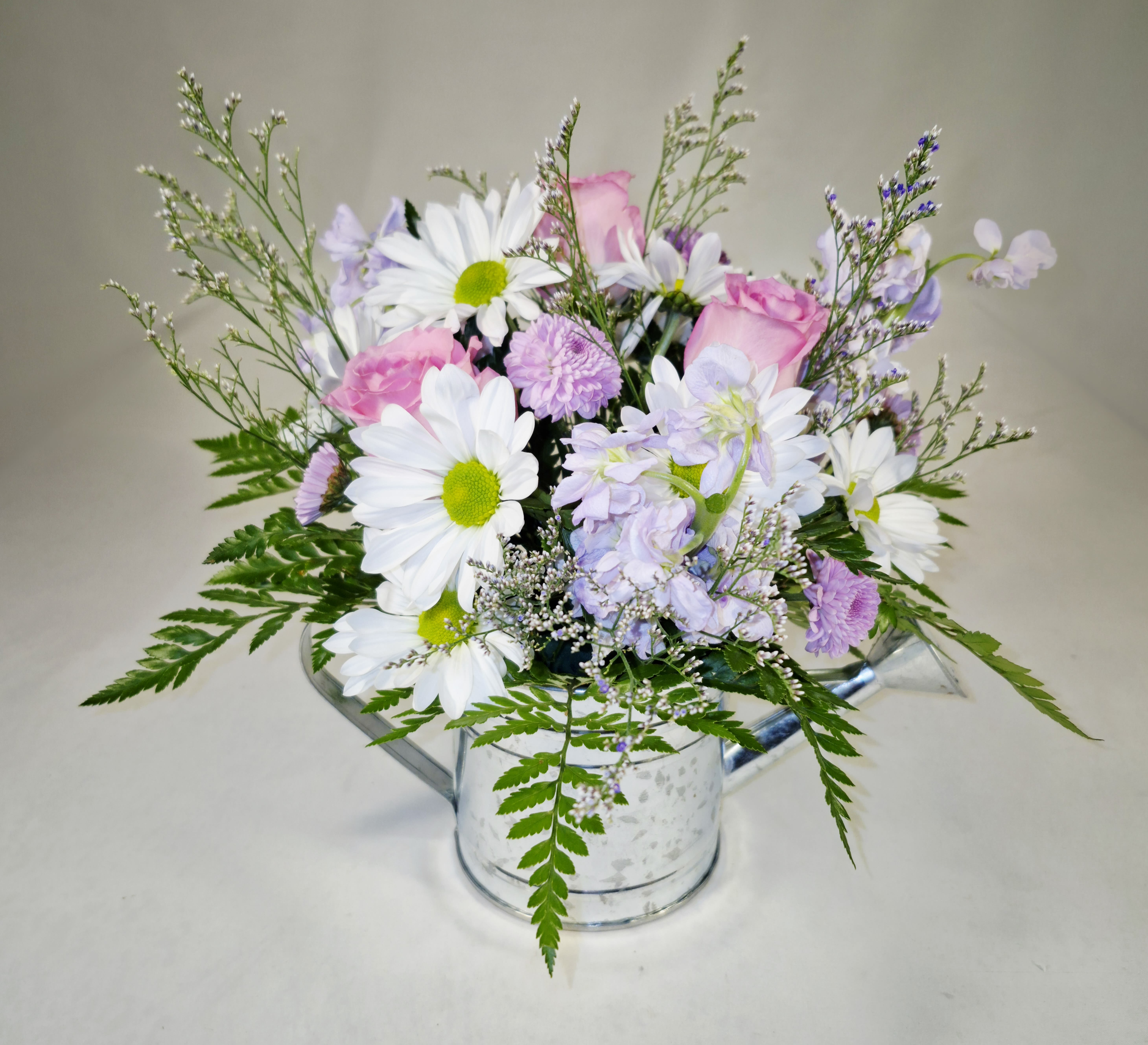 Splendid Watering Can Bouquet - Pale pink roses and white daisy-like blooms in this watering can. Airy, garden-style flower arrangement-perfect as a birthday bouquet, a spring thank-you gift, or a cheerful way to say you're thinking of someone. The Splendid Watering Can Bouquet feels fresh and airy, the soft lavender filler and fern-like greenery giving it a gentle, uplifting presence that will make the recipient feel warmly celebrated.  This loosely gathered design pairs roses, chrysanthemums, daisies and delicate branching accents in a pale pink, white, lilac and green palette. The reusable watering can keeps the focus on the blooms and stems, while the airy composition and natural greenery create movement and texture for a relaxed, cottage-garden look. Sized to sit comfortably on a table or desk, it's the kind of arrangement that brightens a room without overpowering it.  Ideal for moms, friends, or coworkers who appreciate a light, feminine touch, this bouquet sends a message of care and cheerfulness rather than formality. To keep it looking fresh, change the water every other day; available for local delivery or pickup so it can arrive ready to delight. Standard 10" Tall