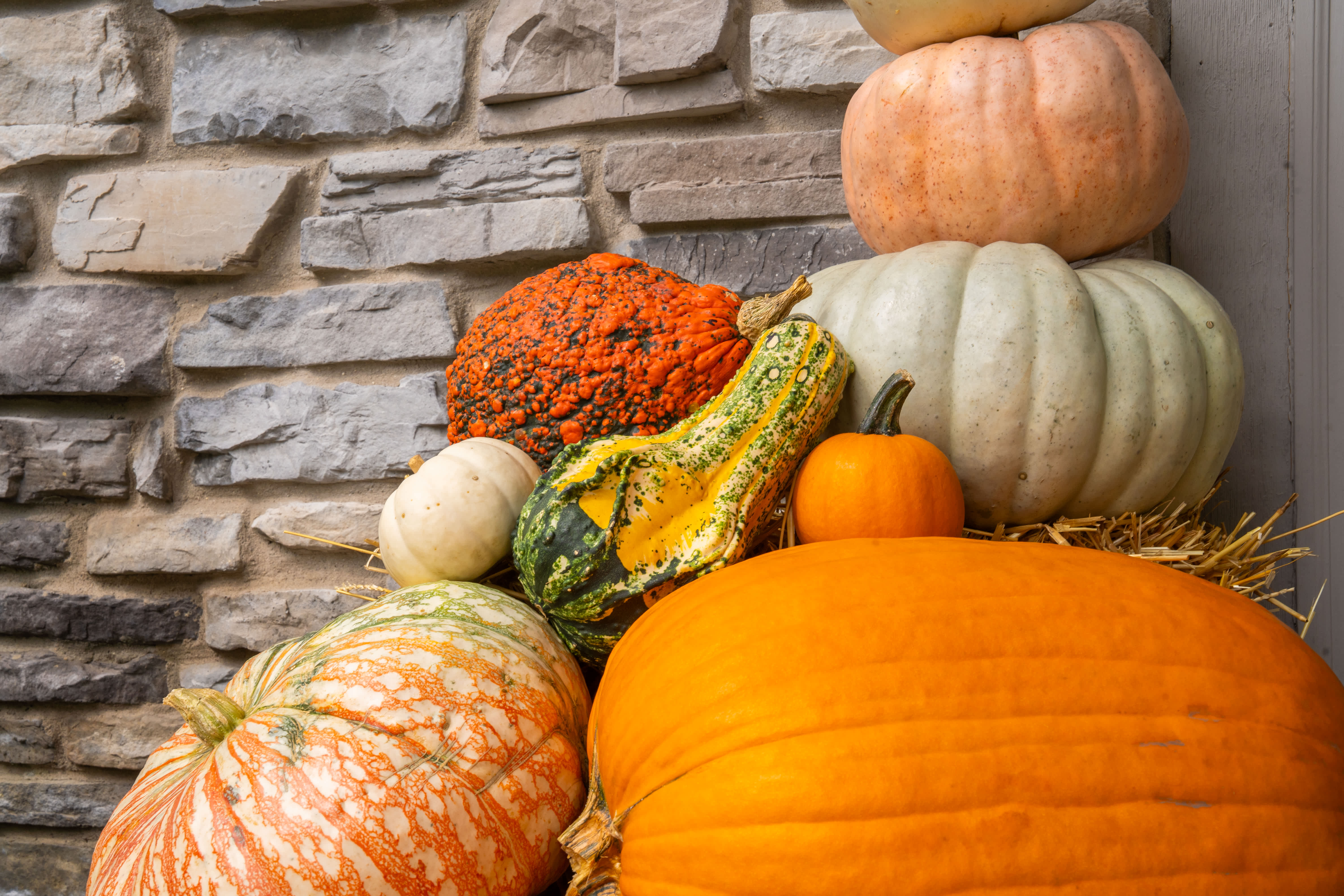 Stacked decorative pumpkins and gourds against a stone wall