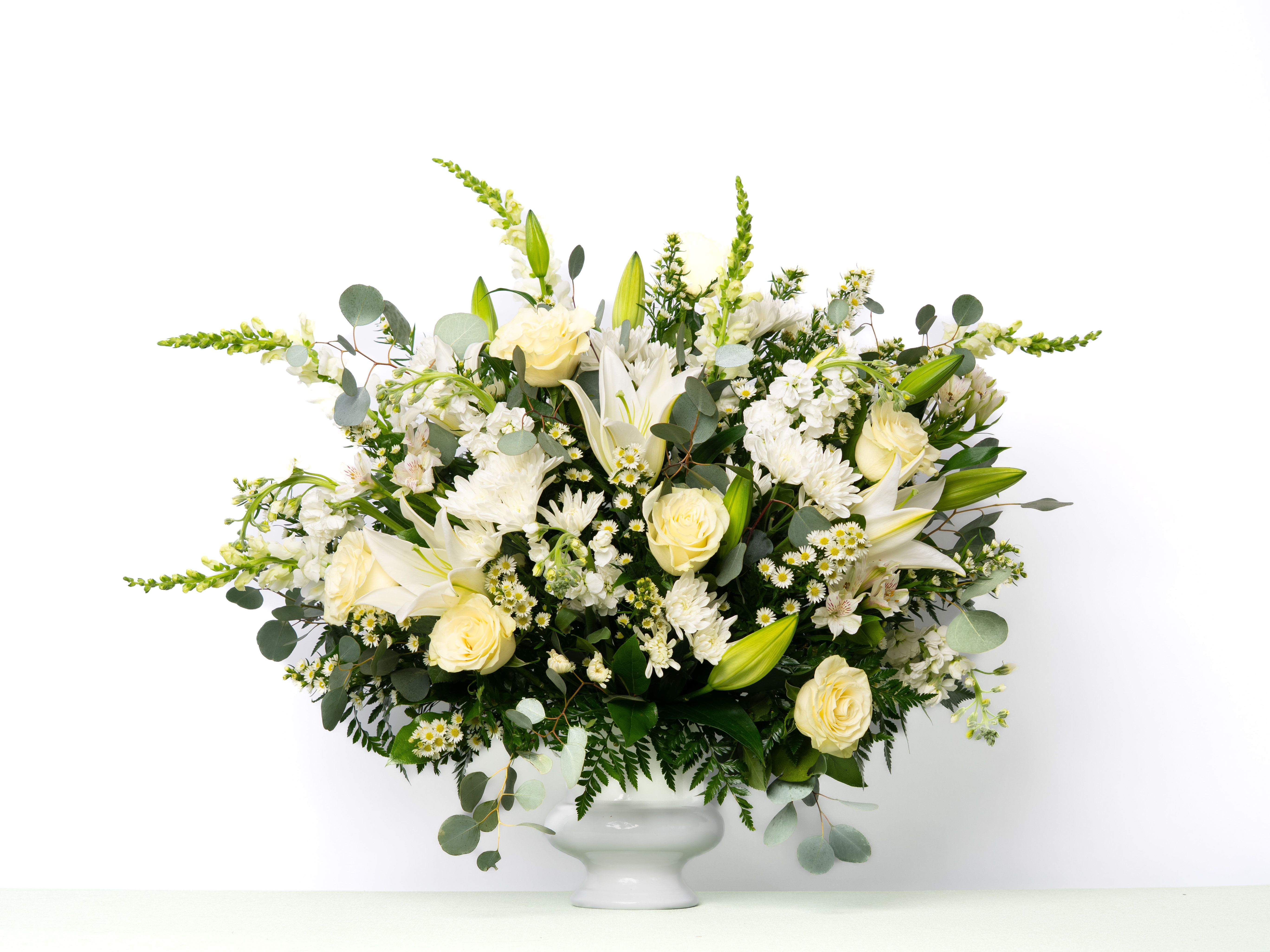 Our Gentle Thoughts Collection: Tribute Urn in White Blooms - Designed to surround the urn with understated elegance, this best-selling all-white arrangement offers a serene and refined tribute. A graceful expression of love and remembrance.  Each arrangement is thoughtfully designed using the freshest blooms available. Flower varieties may vary based on availability while maintaining the overall style, color palette, and value. Urn styles and colors may change based on weekly availability and will be substituted to maintain the overall value.  Approximate Dimensions of Floral Tribute: 36" tall x 30" wide  Color &amp; Customization: Need a custom color scheme? Contact us for more information. Our most popular palettes include whites, whites and greens, whites and blues, pinks and whites, pastel shades, and colorful designs.  Delivery: All sympathy pieces are hand-delivered by the Schultz Floral team.