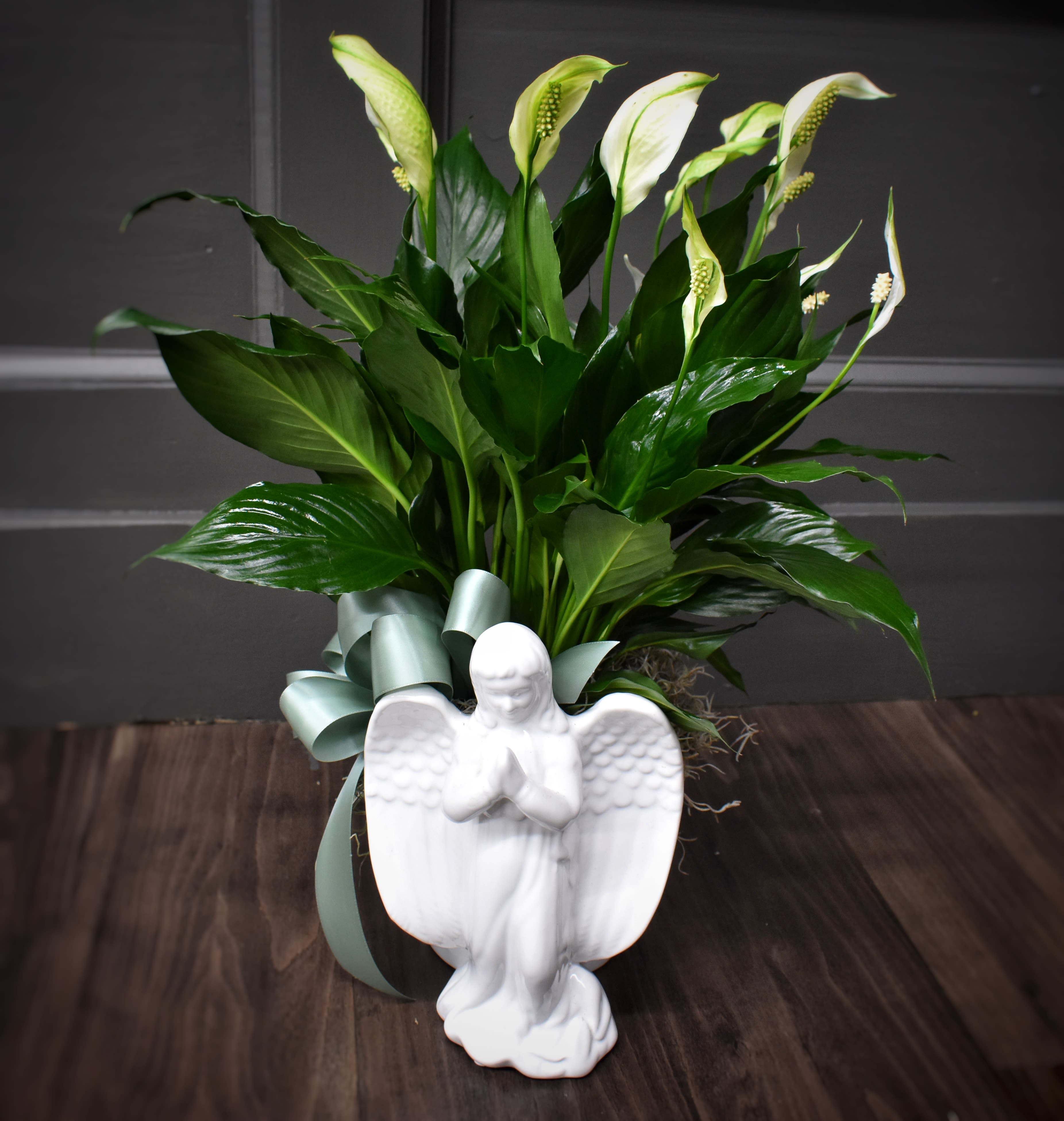 Potted peace lily plant with white blooms and a white ceramic angel figurine in front