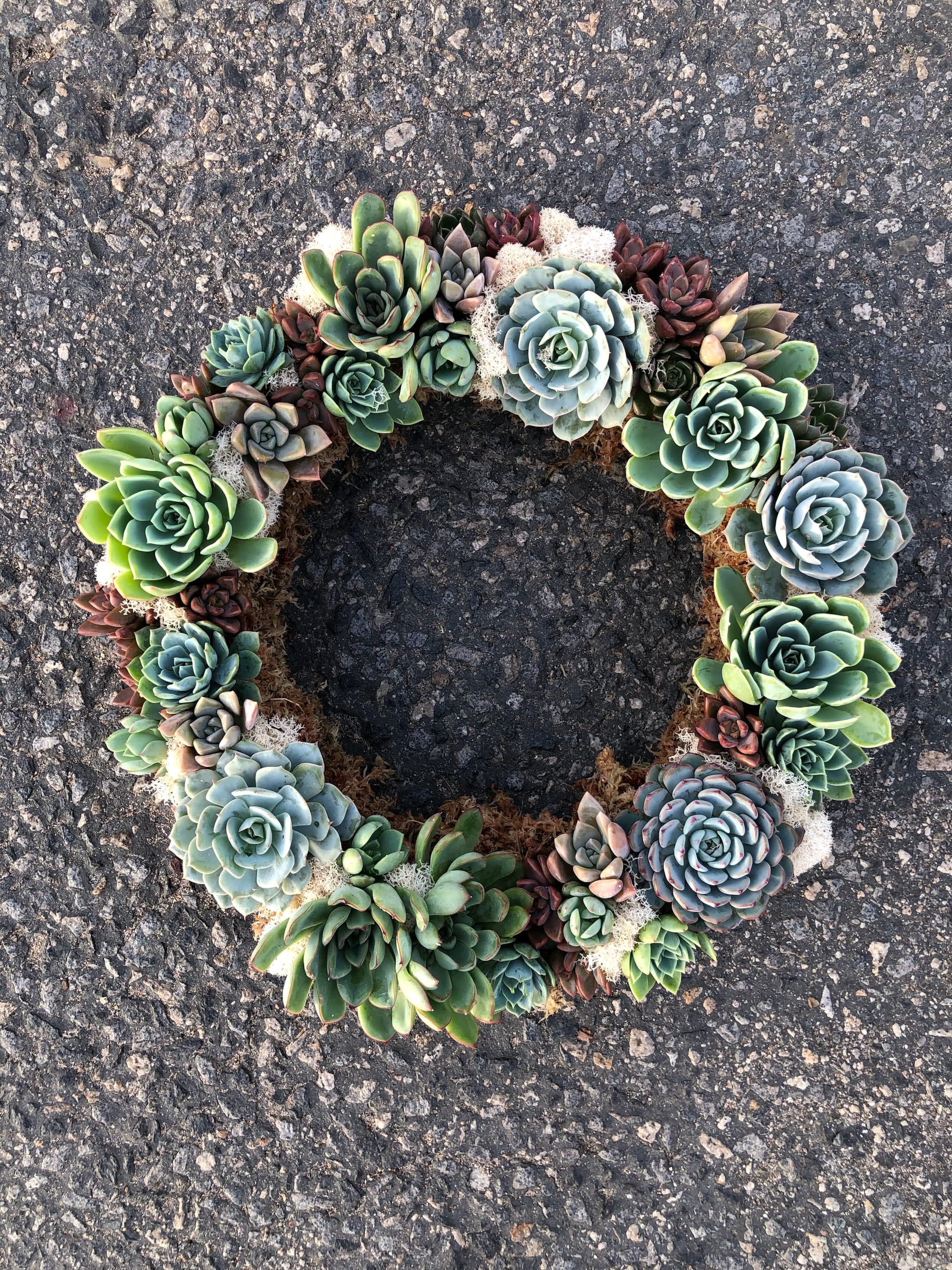 Succulent wreath arranged in a ring on pavement