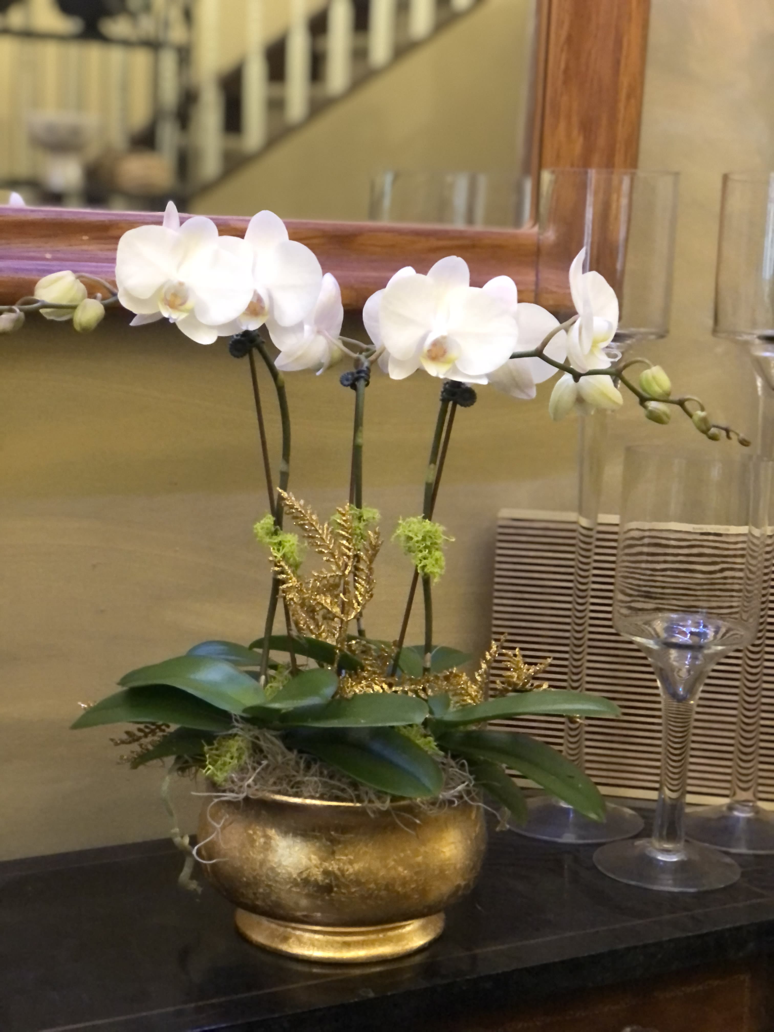Petite Orchid in GOLD  - set of 3 spike Petite orchid plants in  lovely gold planter: a perfect houseplant with easy care. Specific vessel may vary. 