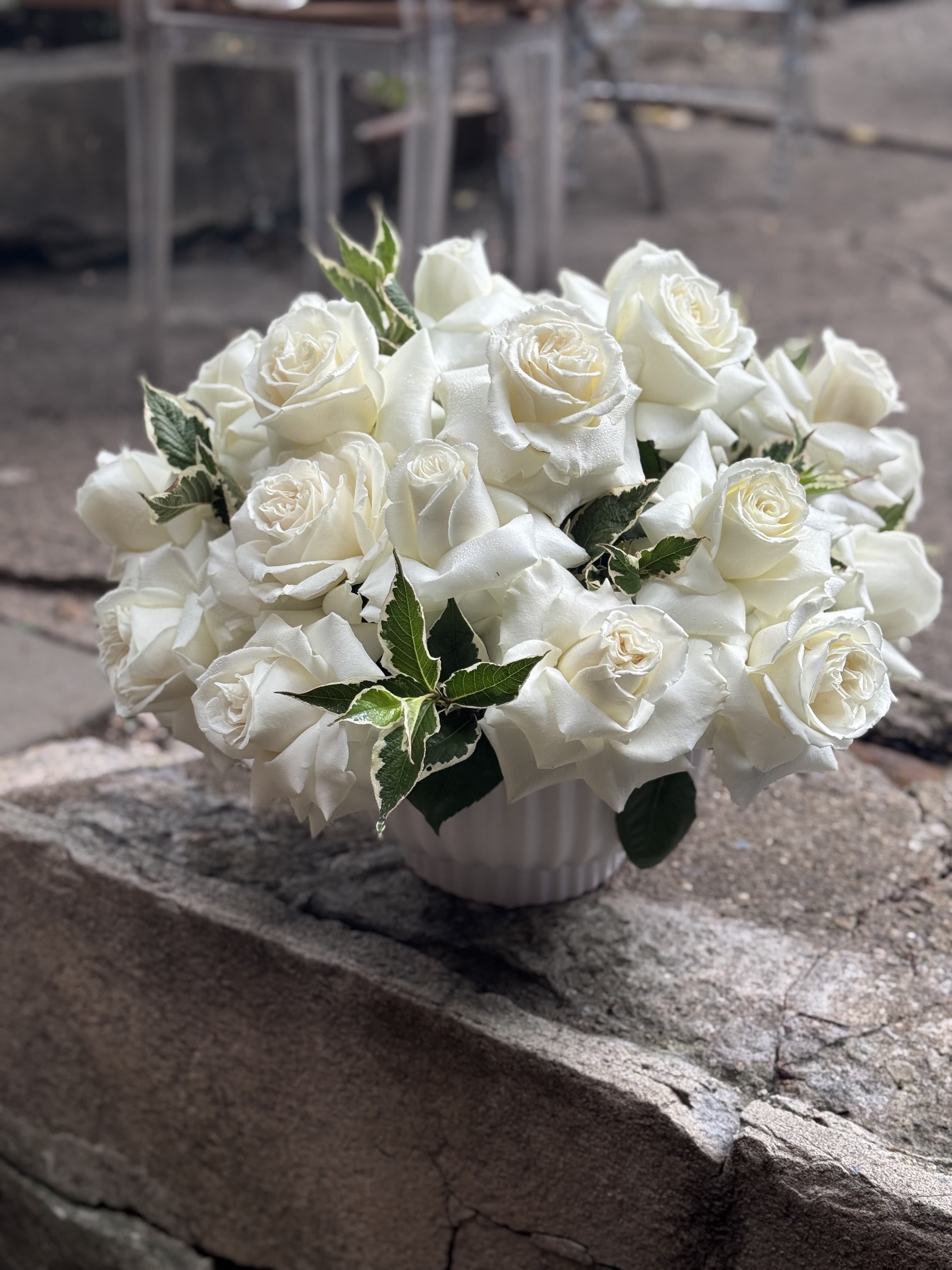 Elegance: White roses - A uniquely elegant collection of white roses in white ceramic with just a few pops of foliage breaking through.