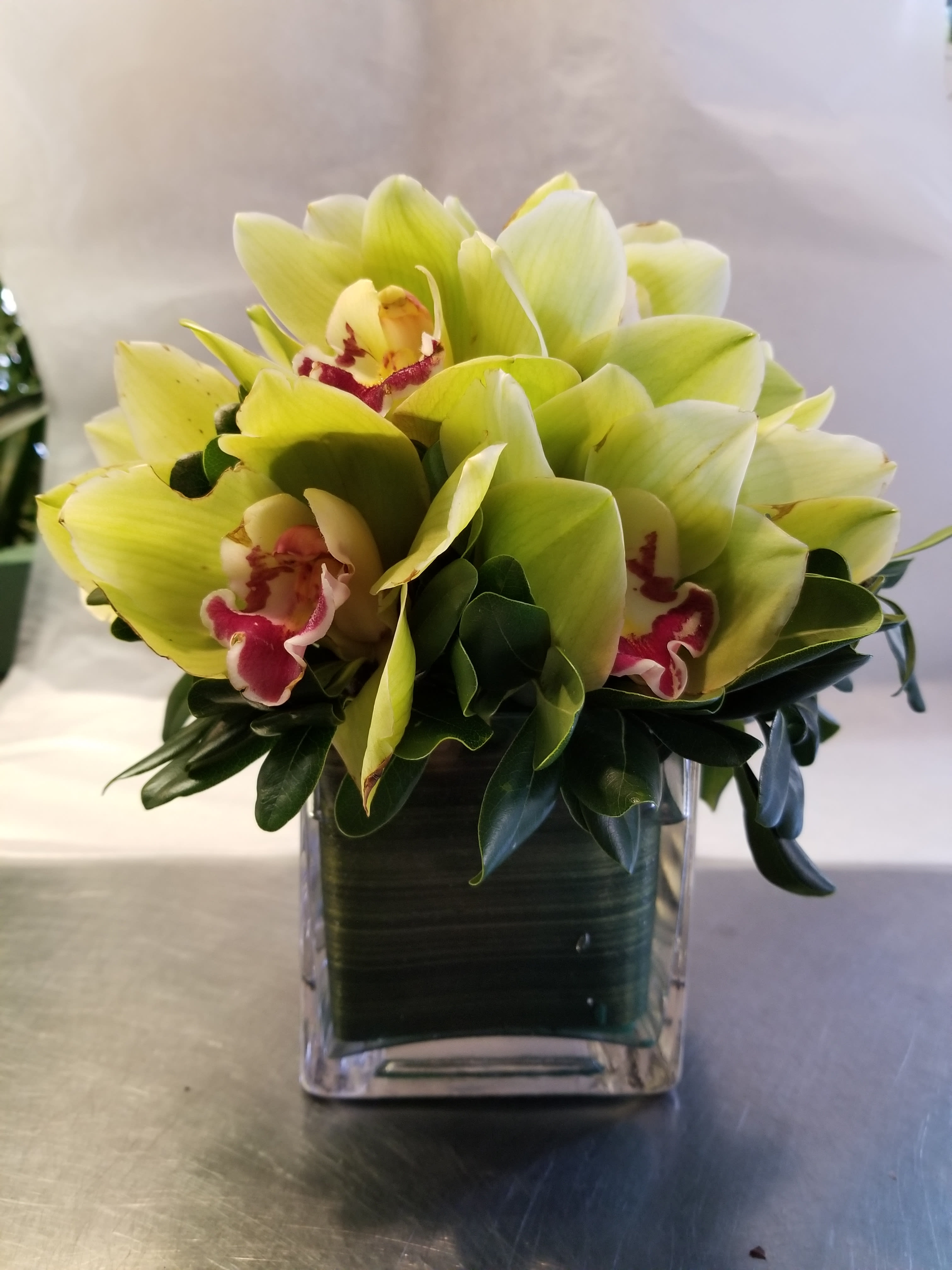 Green orchids arranged in a clear square vase