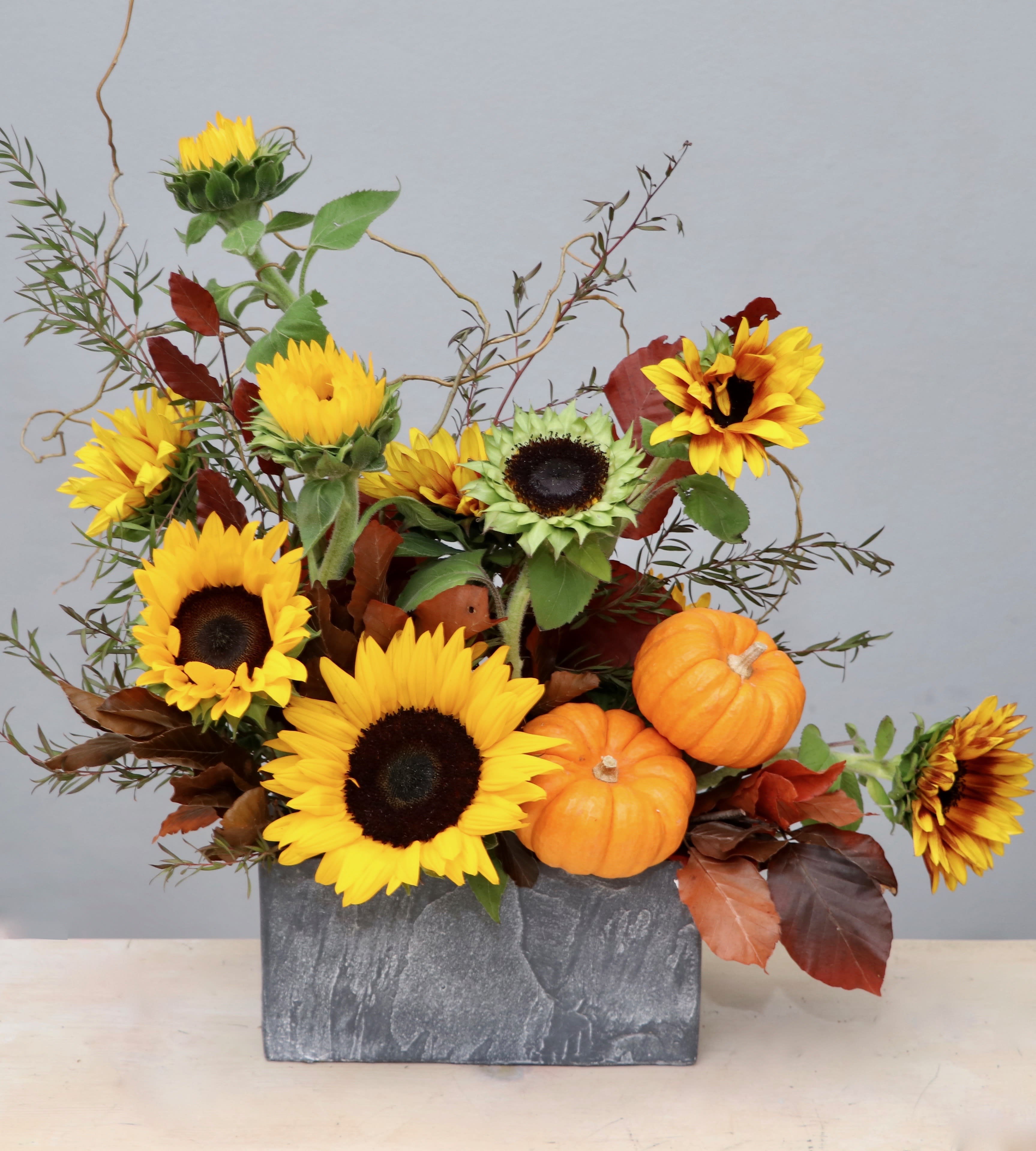 Autumn arrangement of yellow sunflowers and small orange pumpkins in a gray rectangular vase