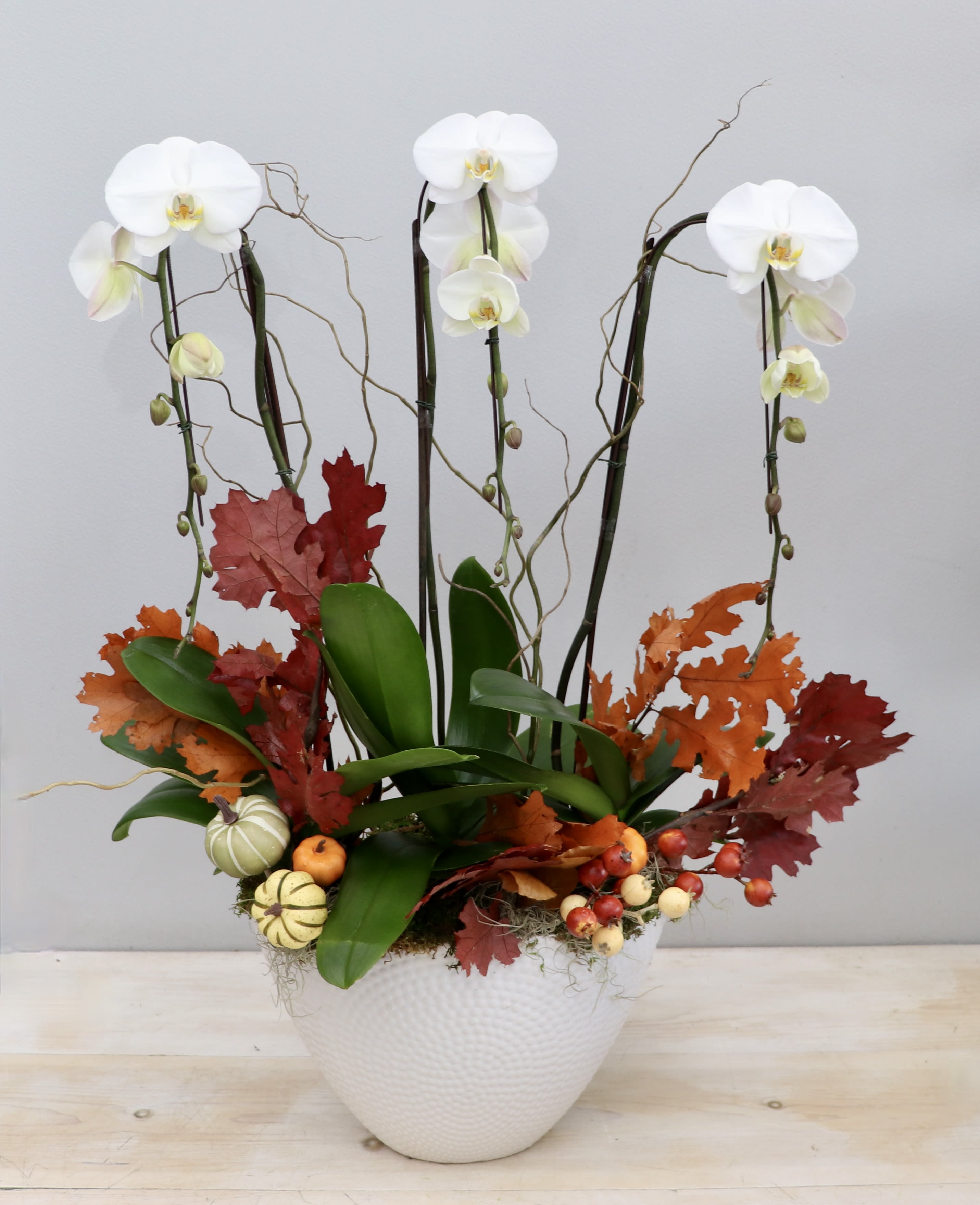 Tall white orchid planter with autumn leaves and small decorative gourds in a white pot