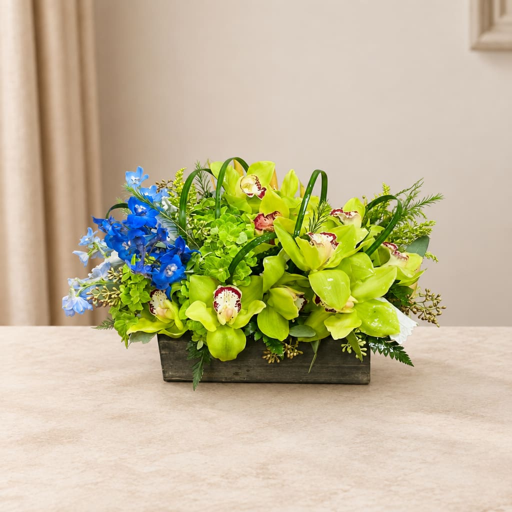 Green orchid arrangement with blue flowers in a rectangular wooden container