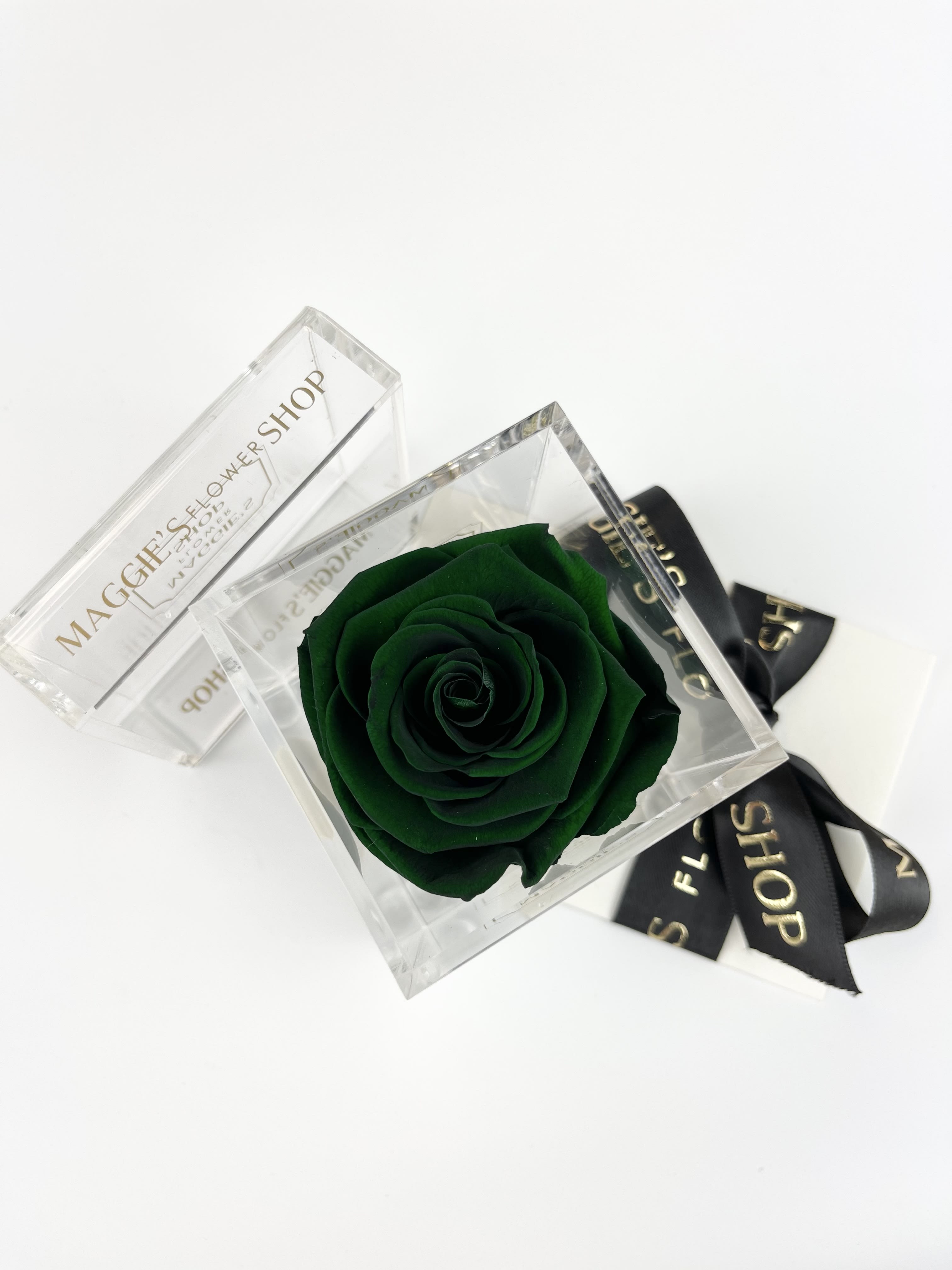 Single green rose in a clear acrylic box with a black ribbon