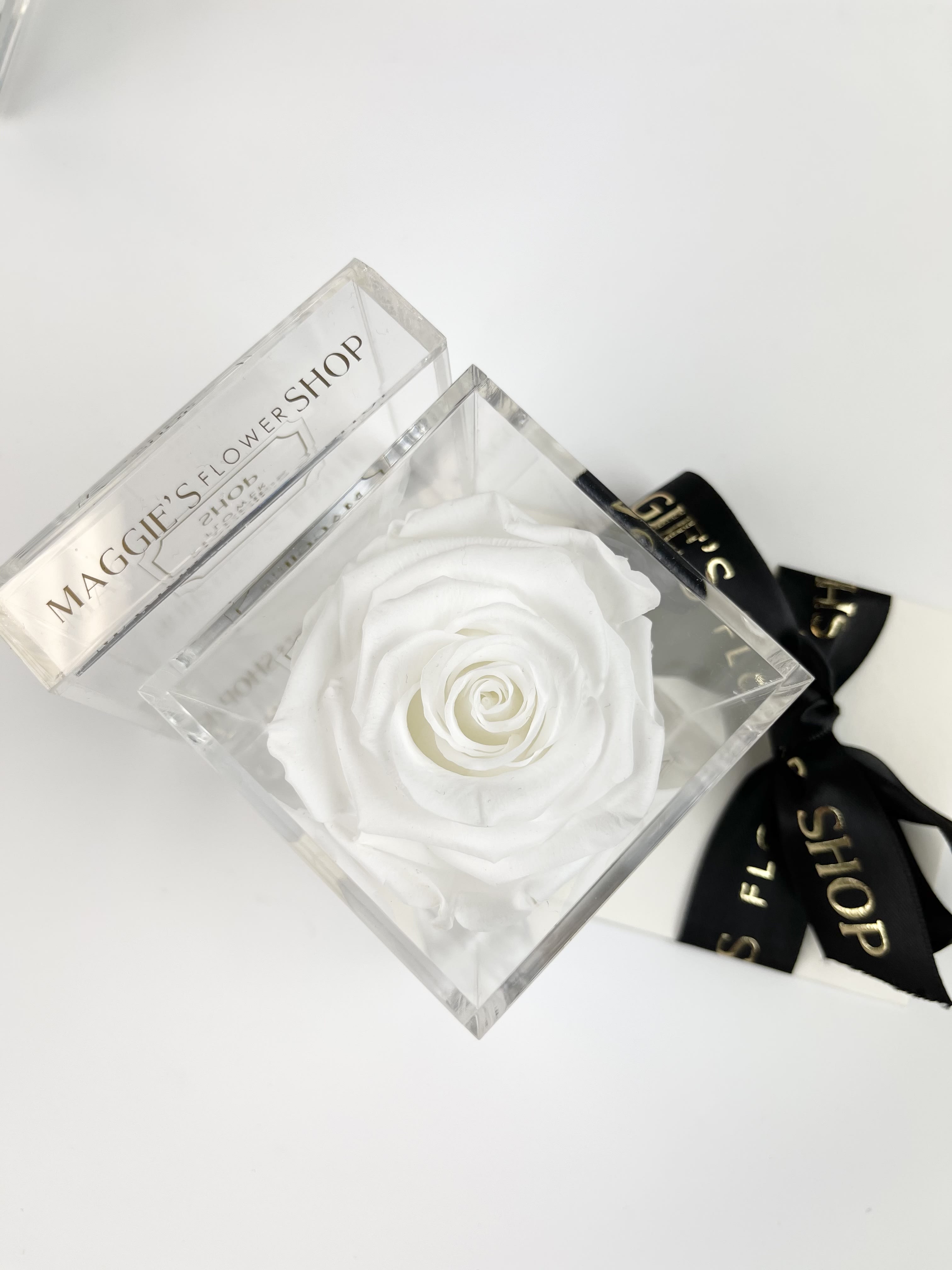 Single white rose in a clear acrylic box with a black ribbon