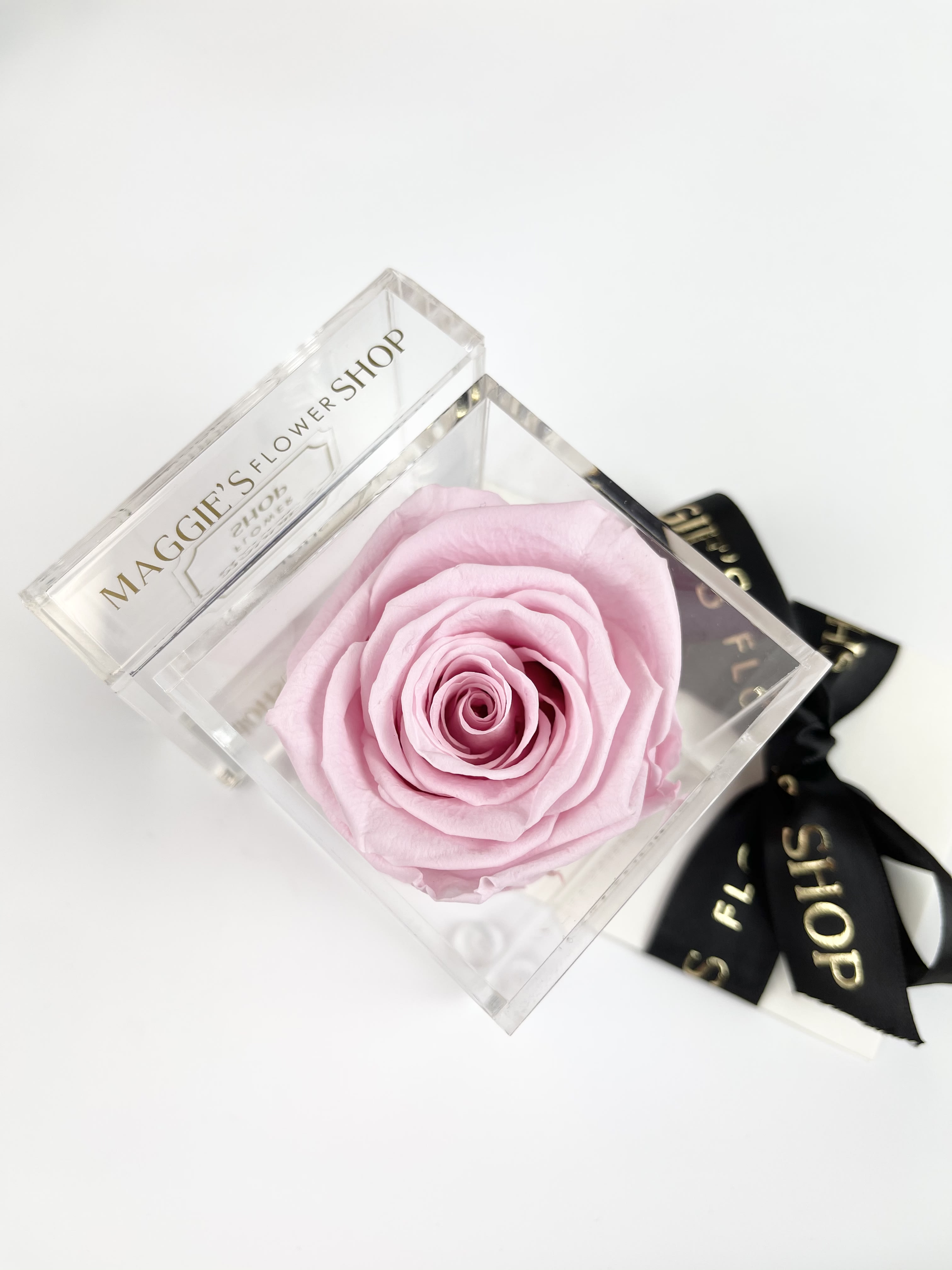 Single pale pink rose in a clear square box with a black ribbon