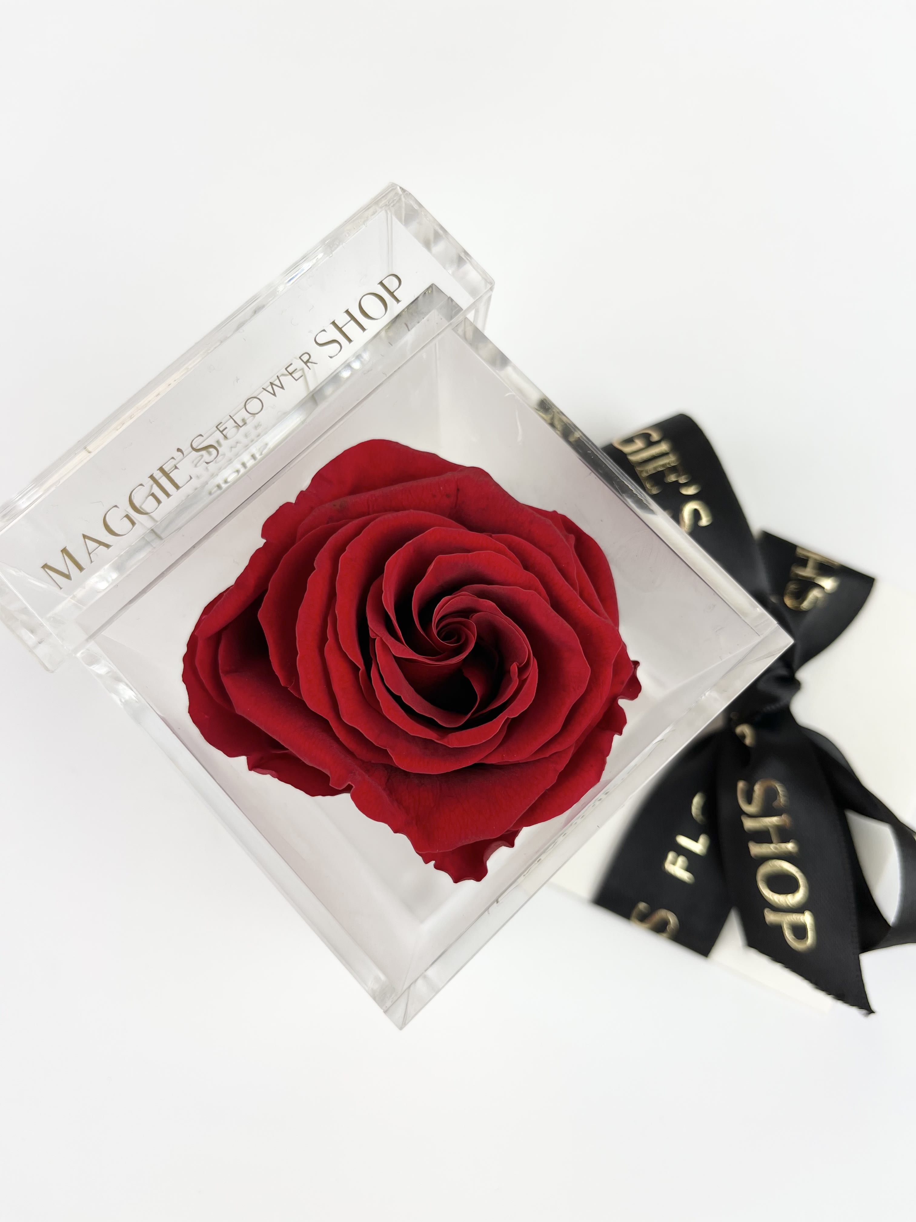 Single red rose in a clear square box with a black ribbon