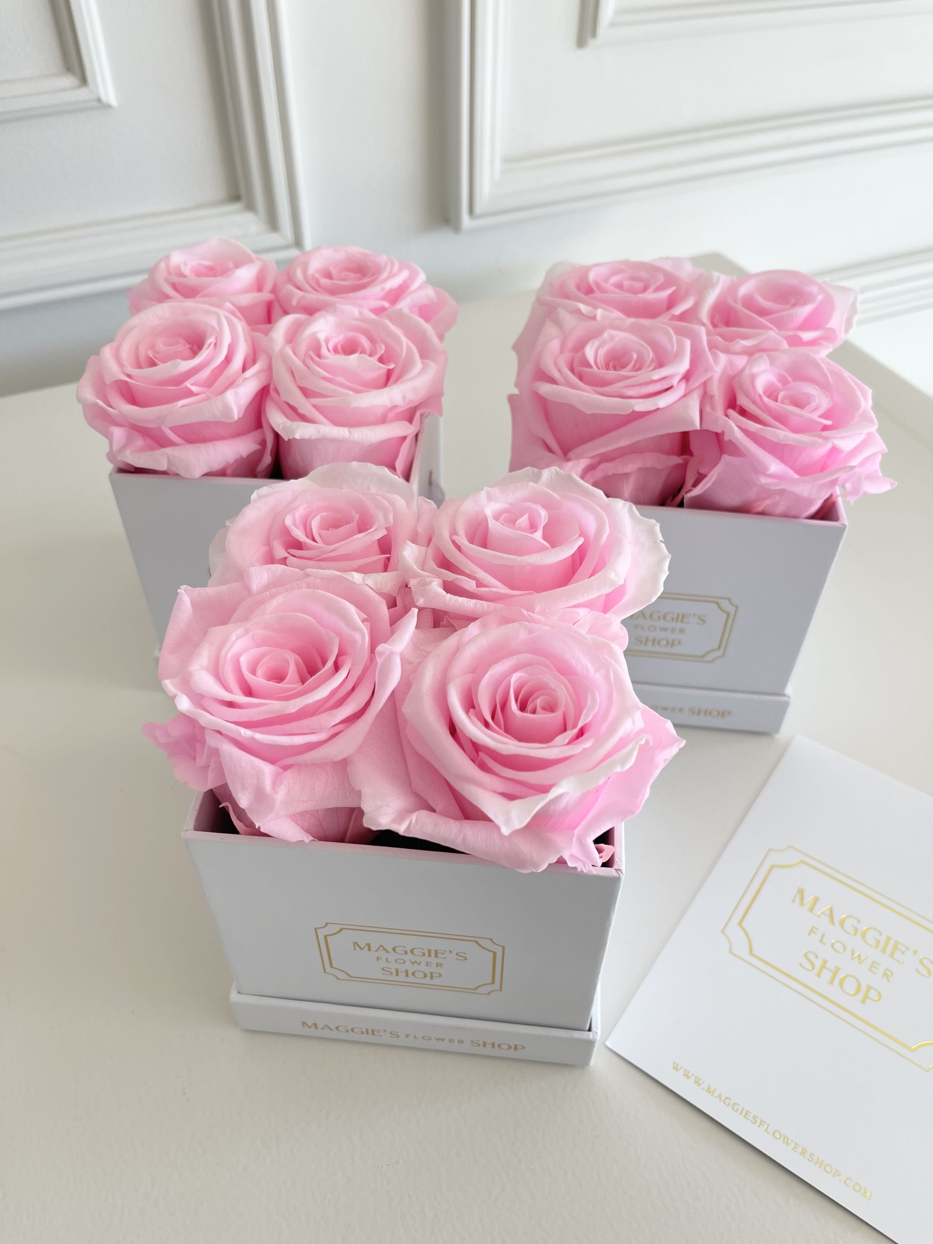 Three small boxes of pink roses on a white table