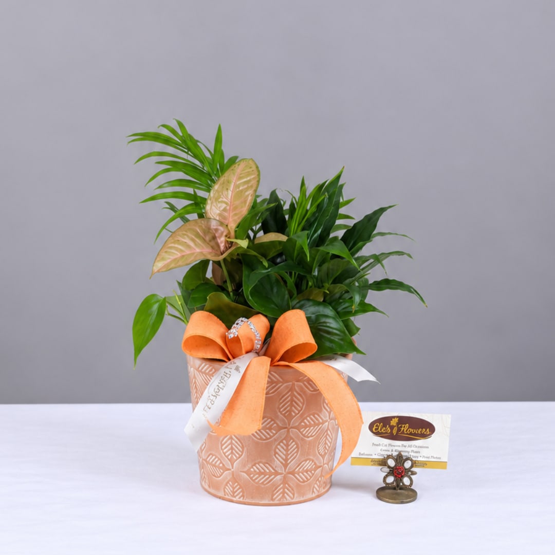 Potted tropical foliage arrangement in a peach patterned container with orange ribbon