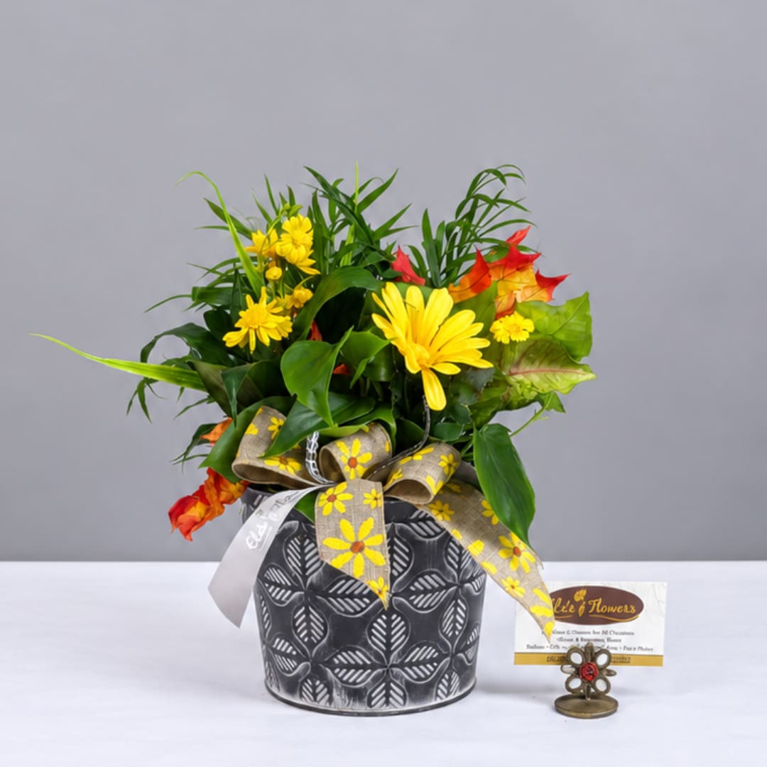 Yellow flowers in a patterned black pot with a decorative ribbon