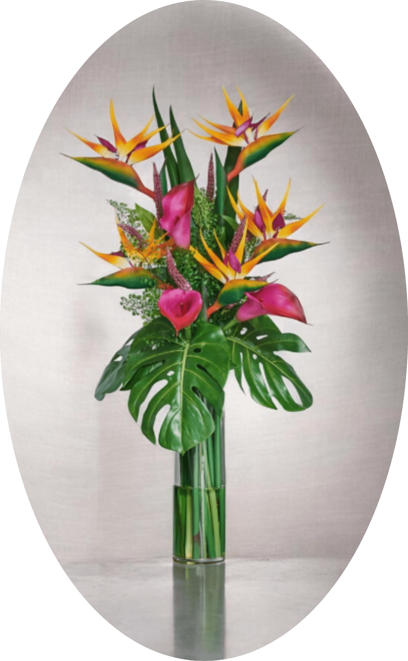 Bold Tropical Bird Arrangement with Calla Lilies and Bird of Paradise - Bright, dramatic tropical arrangement-perfect as a celebratory centerpiece or a bold anniversary gift. Tall bird of paradise blooms in saturated orange and yellow rise above vivid pink calla lilies, creating a striking vertical silhouette that immediately draws the eye. The overall effect is exotic and modern, the kind of bouquet that makes the person you're thinking of feel noticed and celebrated.  Large glossy monstera leaves and upright tropical foliage give the design a layered, sculptural look, while a clear cylindrical glass vase keeps the presentation clean and contemporary. Colors span warm orange and yellow to vibrant pink and lush green, with a strong vertical line that suits contemporary homes, office lobbies, or event decor. Sized to read as a statement piece, this arrangement is both dramatic and easy to place-order for same-week delivery to make an unforgettable impression.