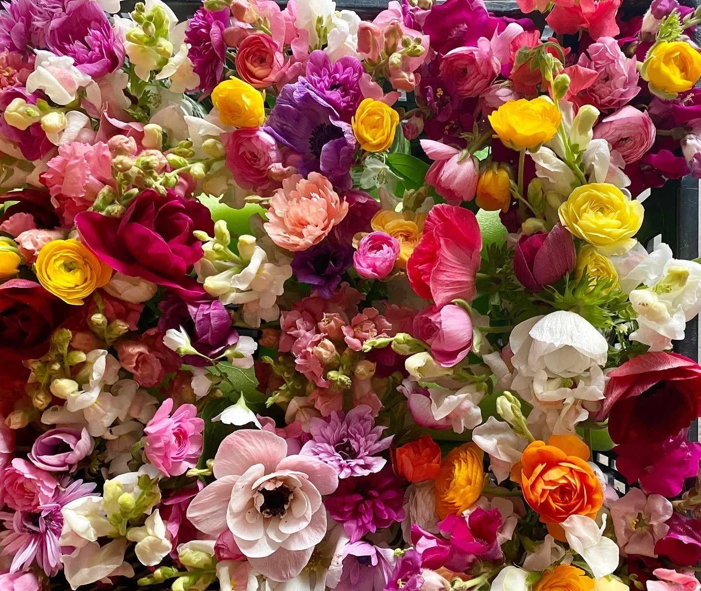DESIGNER'S CHOICE - Bouquet - Floral Paper w/ Ribbon (Does not include a vase) - Pre-order your designer’s choice bouquet (no vase) on our website and we will make it fresh for delivery or pick-up!   We will use a mix of our seasonal bests for any occasion.   Just leave a comment at checkout: the occasion and preferred main flowers/colors   Completed bouquet pictures will be texted upon request. :)