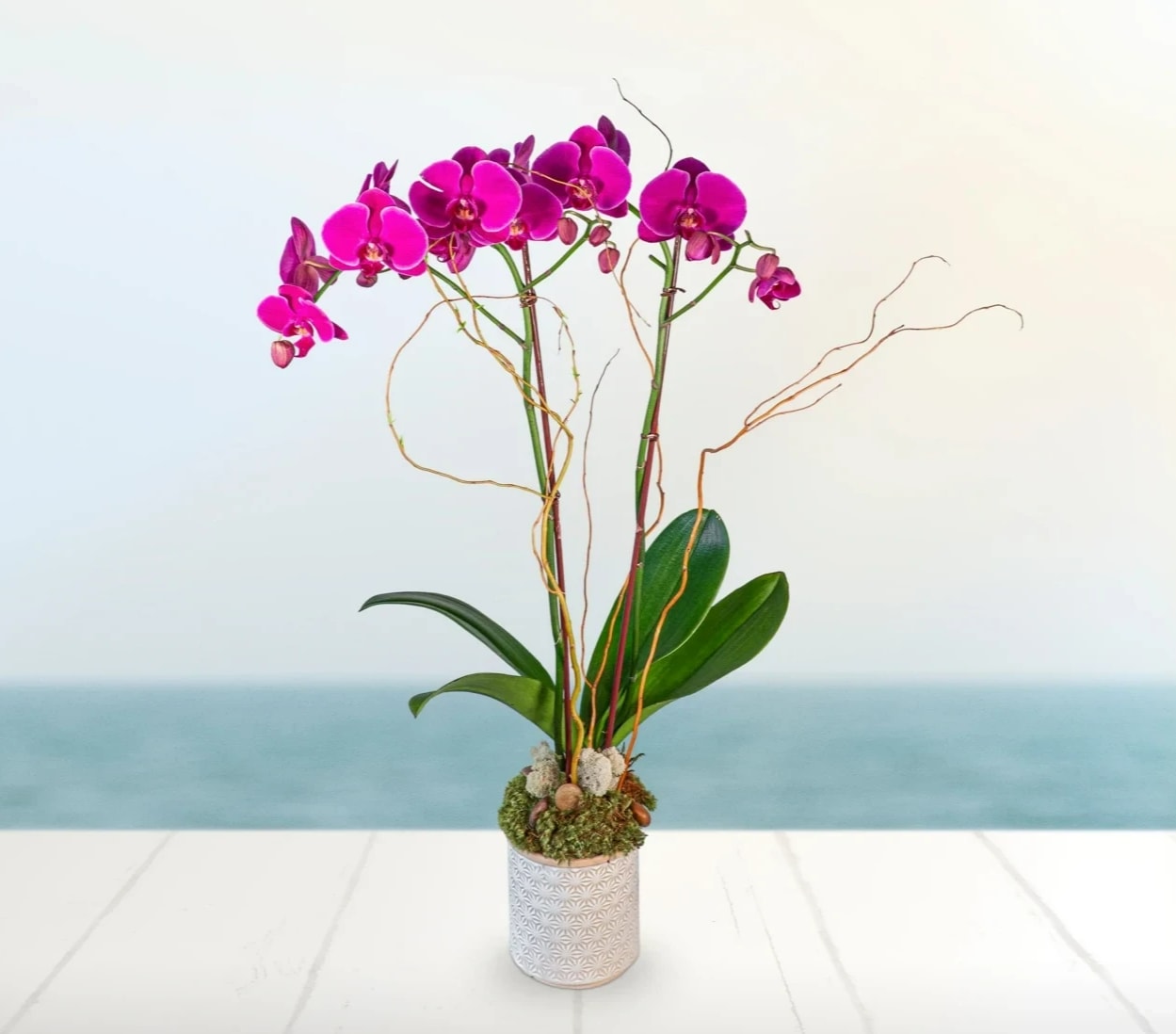 Pink orchid arrangement in a white patterned pot