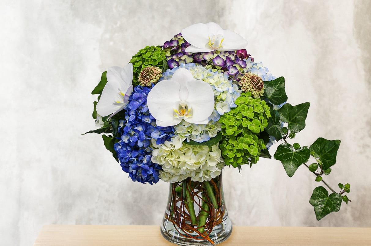 Blue and green hydrangea arrangement with white orchids in a glass vase