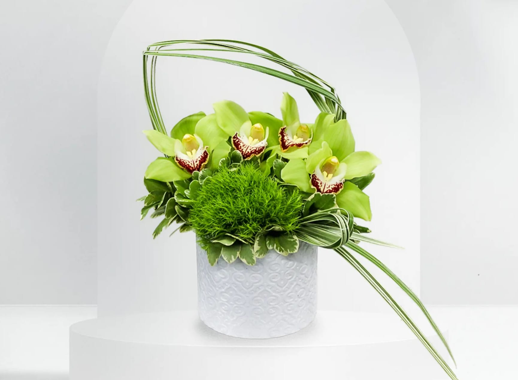 Green orchid arrangement in a white textured pot