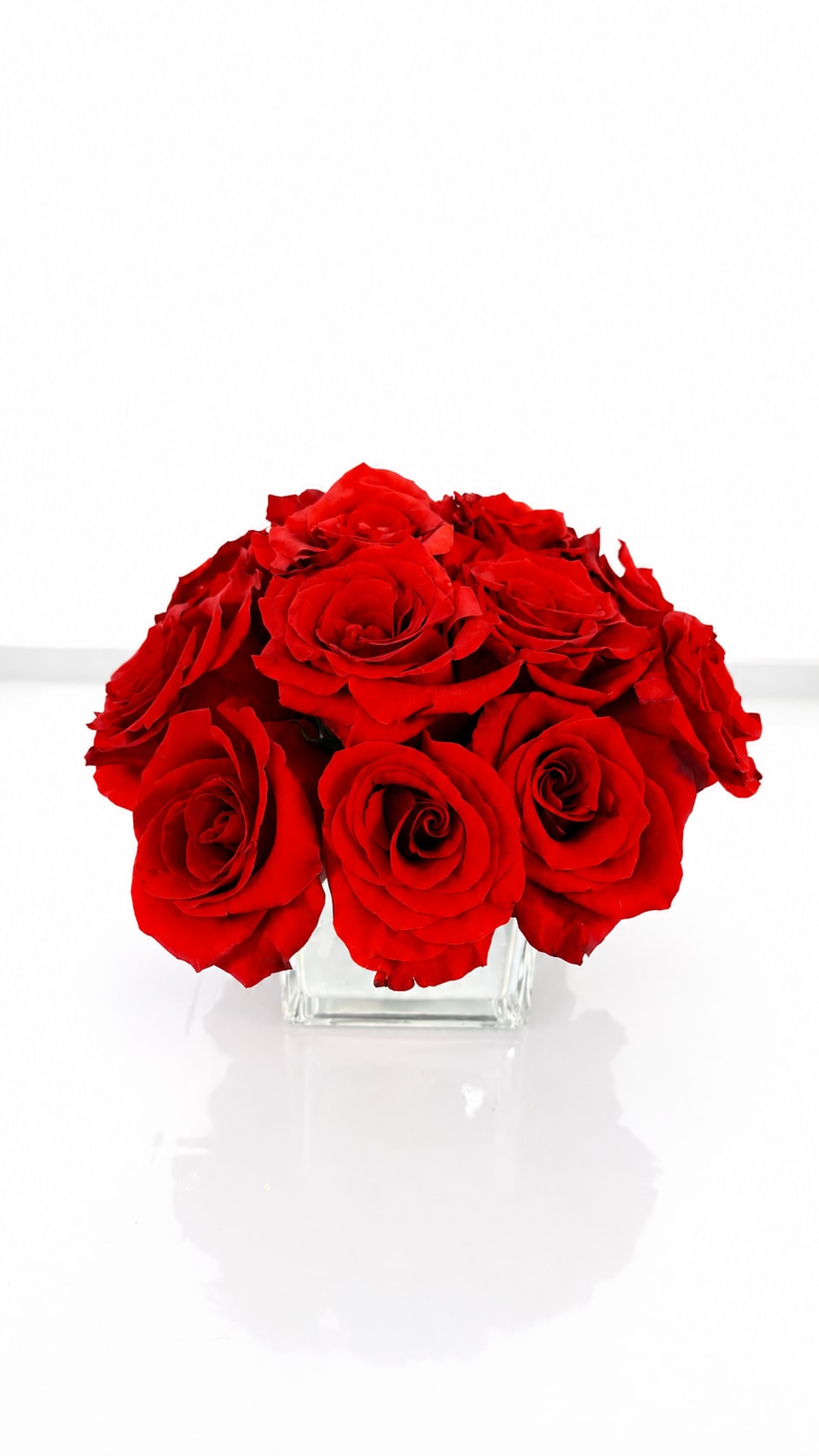 Red Rose Radiance  - A compact cluster of vivid red roses arranged in a clear square glass vase gives this rose arrangement a powerful, romantic presence - perfect as a Valentine's Day bouquet or an anniversary gift. The tight, rounded silhouette of layered petals reads as classic and velvety, the kind of arrangement that makes the person you're thinking of feel deeply celebrated and cherished.  Made entirely of richly saturated red roses in a low, clear square glass vase, the design keeps the focus on color and texture for a clean, modern look. The dense, rounded shape sits neatly on a table or desk and works equally well for romantic gestures, birthdays, or a sincere thank-you; the simple vase also makes the blooms easy to place in any home or office setting. 