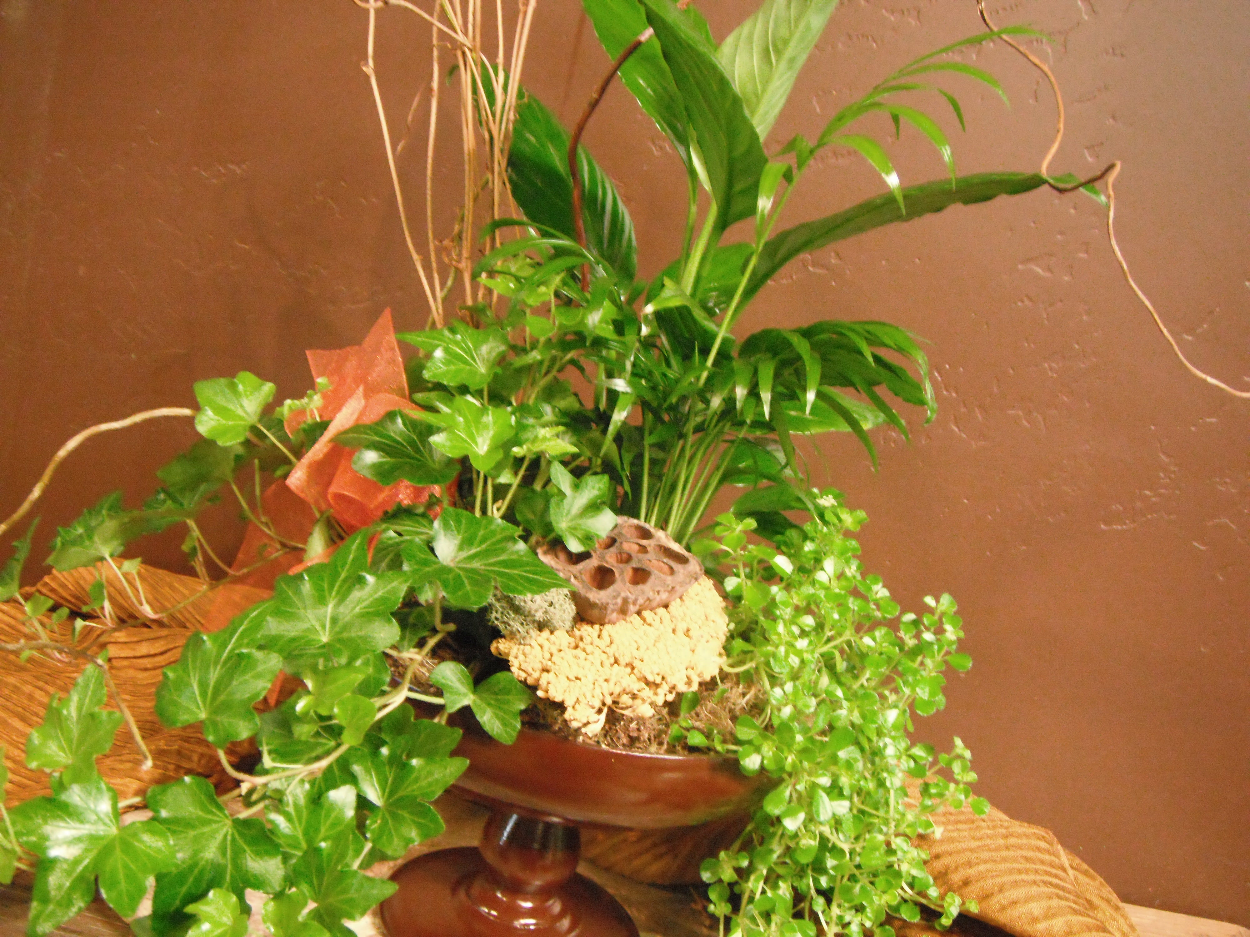 Lush green potted plant arrangement in a brown pedestal bowl