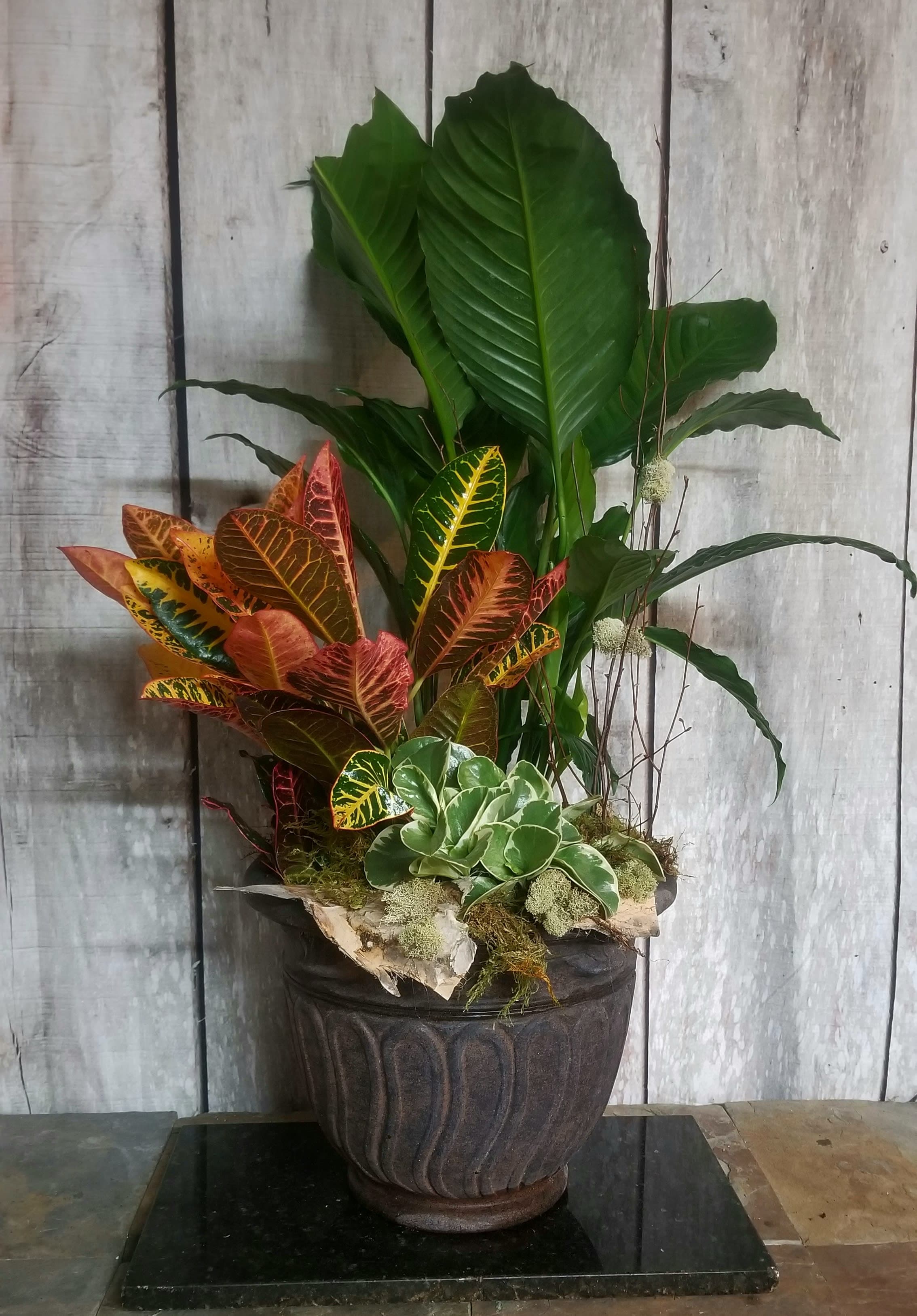 Large potted tropical plant arrangement with colorful croton leaves