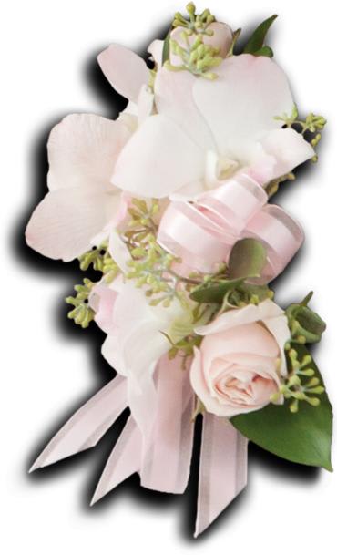 Soft pink and white floral corsage with ribbon