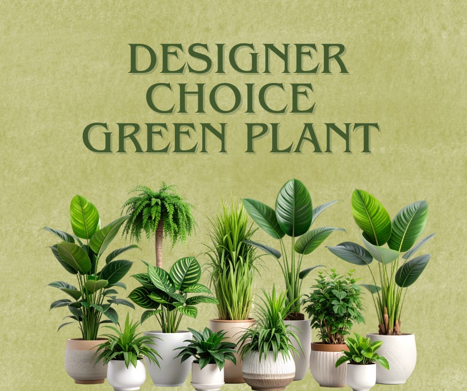 Assorted green potted plants arranged beneath the words "Designer Choice Green Plant"