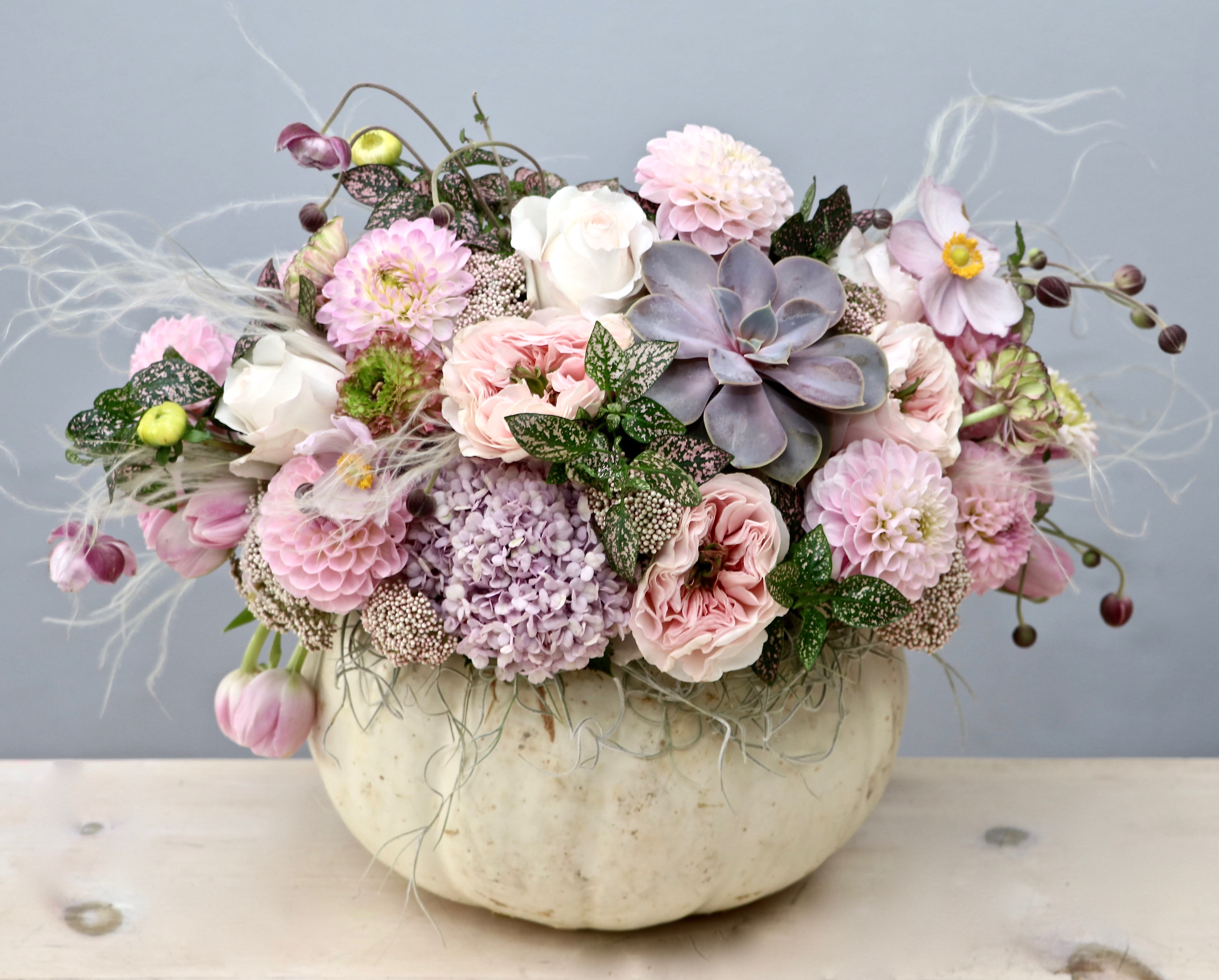 Low pastel arrangement of roses, dahlias, hydrangea and succulent in a white pumpkin container