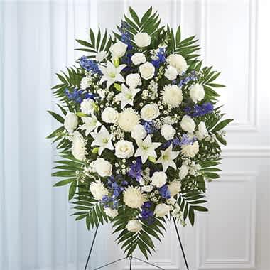 Blue &amp; White Sympathy Standing Spray - When someone so dear passes, it is fitting to pay respects with a standing tribute. Our impressive standing spray arrangement, meticulously handcrafted by expert florists with crisp white blooms and rich blue delphinium for a lush, full presentation, creates a proud and respectful commemoration. •Standing spray arrangement with white roses, Asiatic lilies, football mums, carnations and monte casino; blue delphinium; accented with soft, lush greenery •Large measures approximately 56"H x 38"L without stand •Medium measures approximately 46"H x 34"L without stand •Small measures approximately 42"H x 30"L without stand •Arrives on an easel •Appropriate for the funeral home or gravesite •Our florists use only the freshest flowers available, so colors and varieties may vary due to local availability