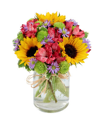 Flowers Fields Mason Jar - If you've ever sauntered through a field of beautiful flowers, you know what a treat it is for the senses. This vividly colorful arrangement captures the essence of a flower field with magnificent sunflowers, alstroemeria and poms set in a stylish mason jar with a natural raffia bow. Measures 10"H X 8"L. 