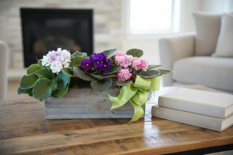  African Violet Trio - The African Violets trio with blooms in shades of pink and purple to create a sweet  gift for your special recipient. Three African Violet Plants displaying a varied assortment of colorful flowers amongst their dark green foliage are gathered together in a narrow wooden box.  Approx. 12x5x5