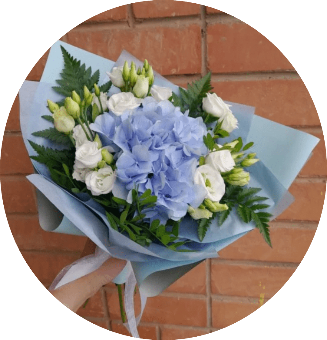 Cerro Largo Blue Hydrangea, Rose &amp; Lisianthus Bouquet - A rounded cluster of pale blue hydrangea takes center stage in this hand-tied flower arrangement, instantly creating a calm, romantic impression perfect for a birthday bouquet, a thoughtful thank-you gift, or a springtime surprise. The soft blue and white color palette-blue hydrangeas paired with white lisianthus and roses-gives the person you're thinking of a fresh, elegant feeling, the kind that reads both celebratory and quietly refined.  Crisp white lisianthus buds and open blooms mingle with creamy white roses, while deep green foliage peeks through the edges for contrast and texture. The bouquet is wrapped in layered pale blue floral wrap and finished with a soft ribbon and bouquet wrap at the handle, giving a neat, airy presentation that holds the arrangement together without hiding its natural form.   Send this when you want someone to feel seen and gently celebrated-a serene choice for anniversaries, new beginnings, or simply saying "I'm thinking of you." Available as a hand-tied bouquet; follow simple care by trimming stems and placing in fresh water to extend the vase life.