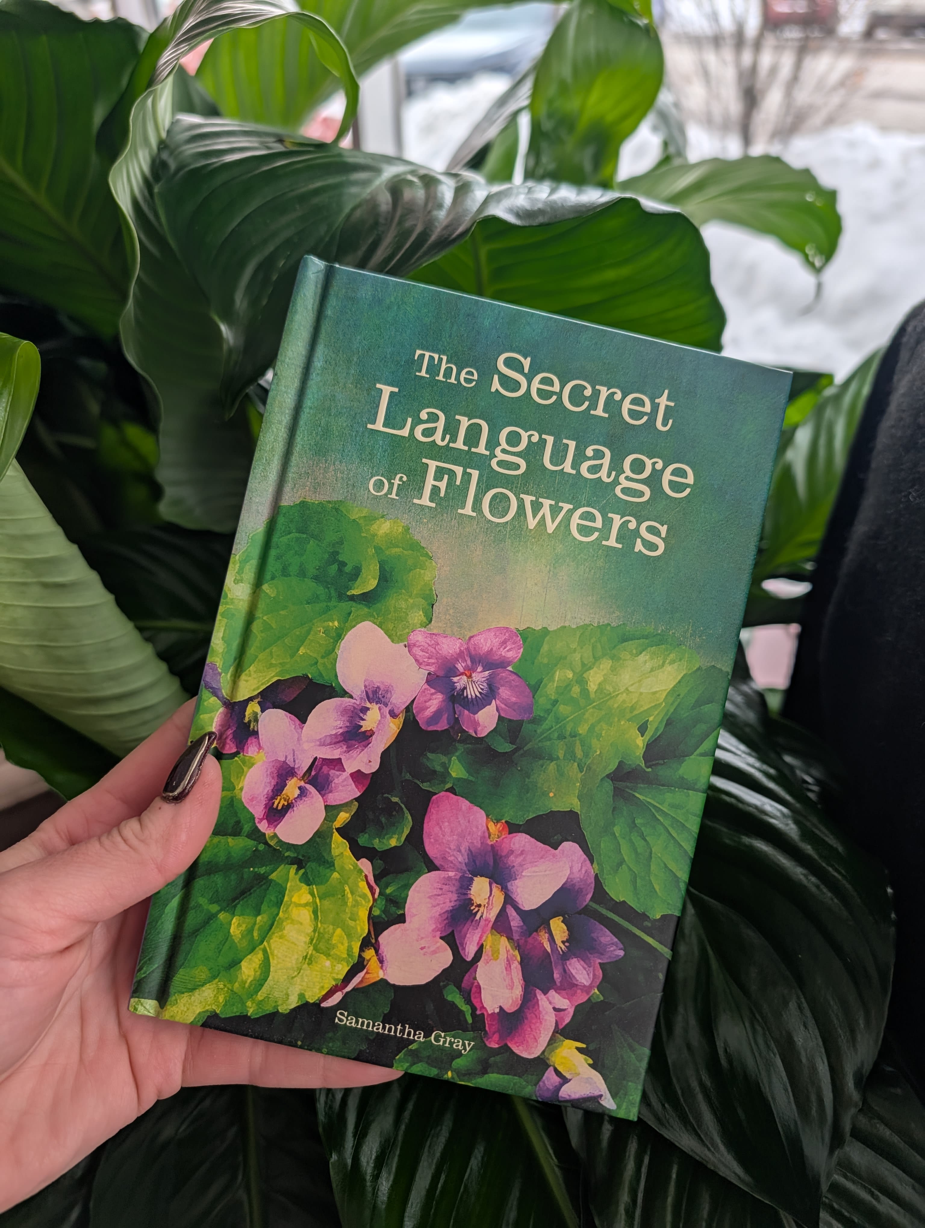 Hand holding a book with purple flowers on the cover in front of large green leaves